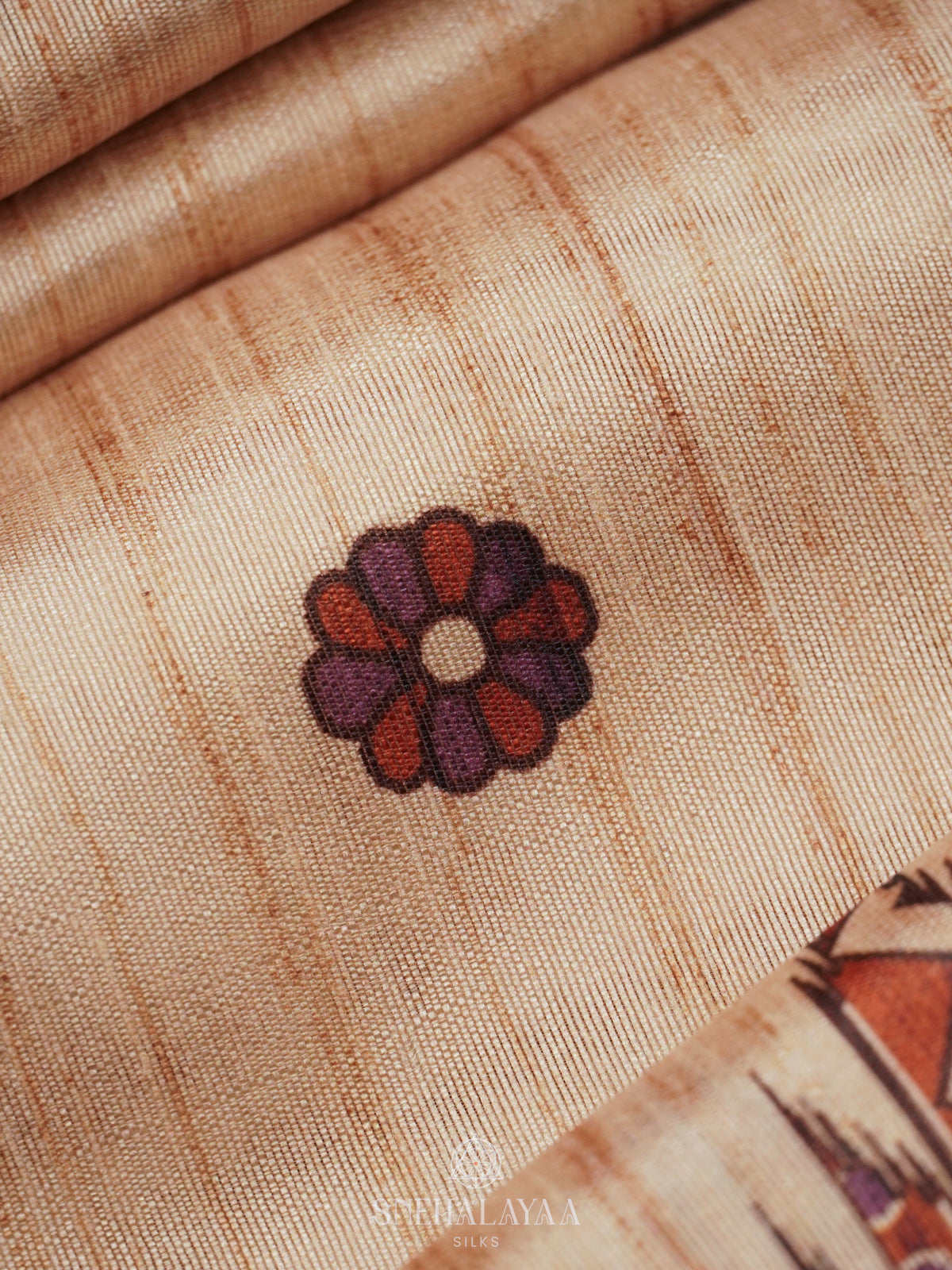 Beige Tussar Saree