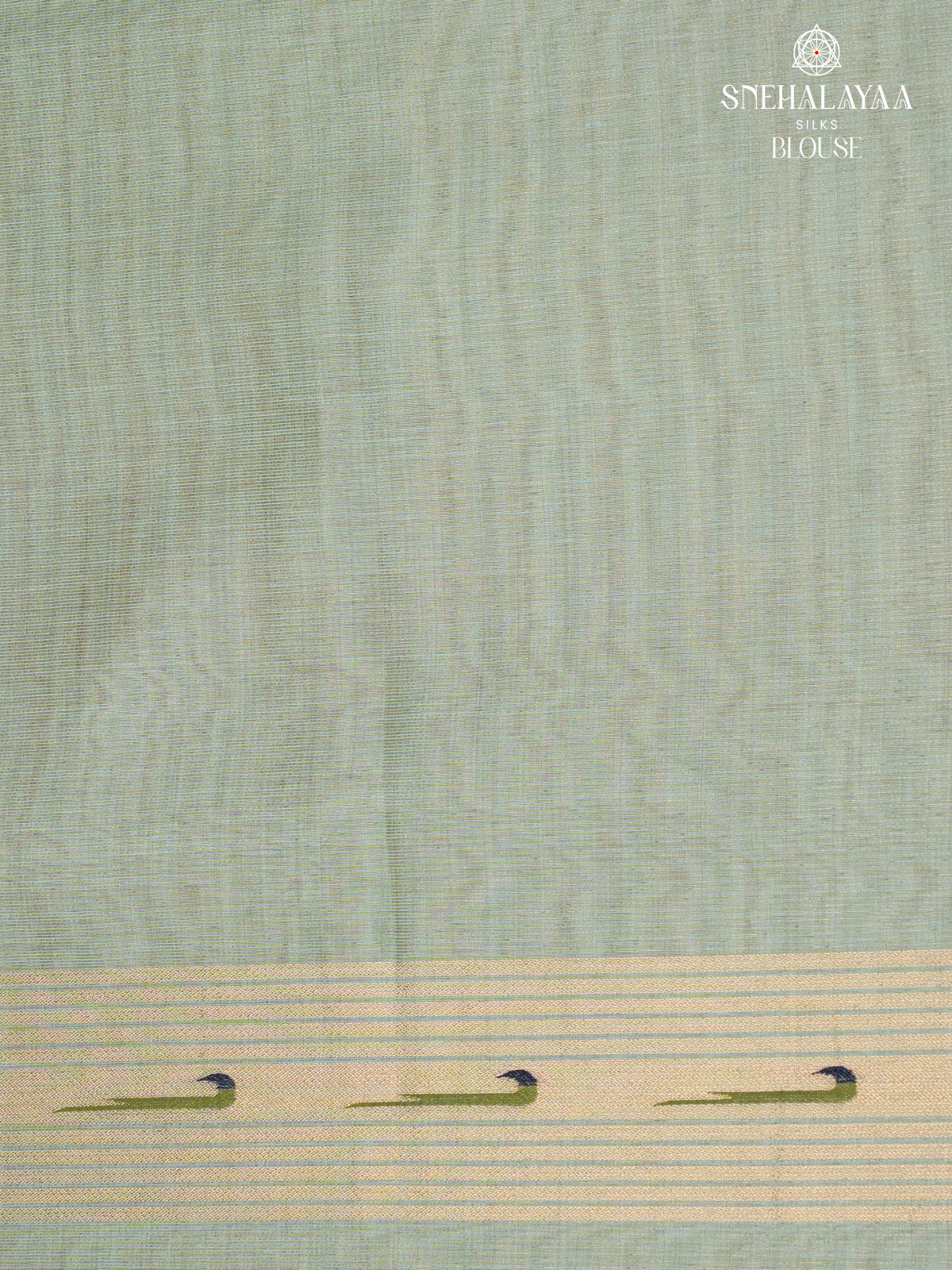 Sea Green Munga Tissue Cotton Saree