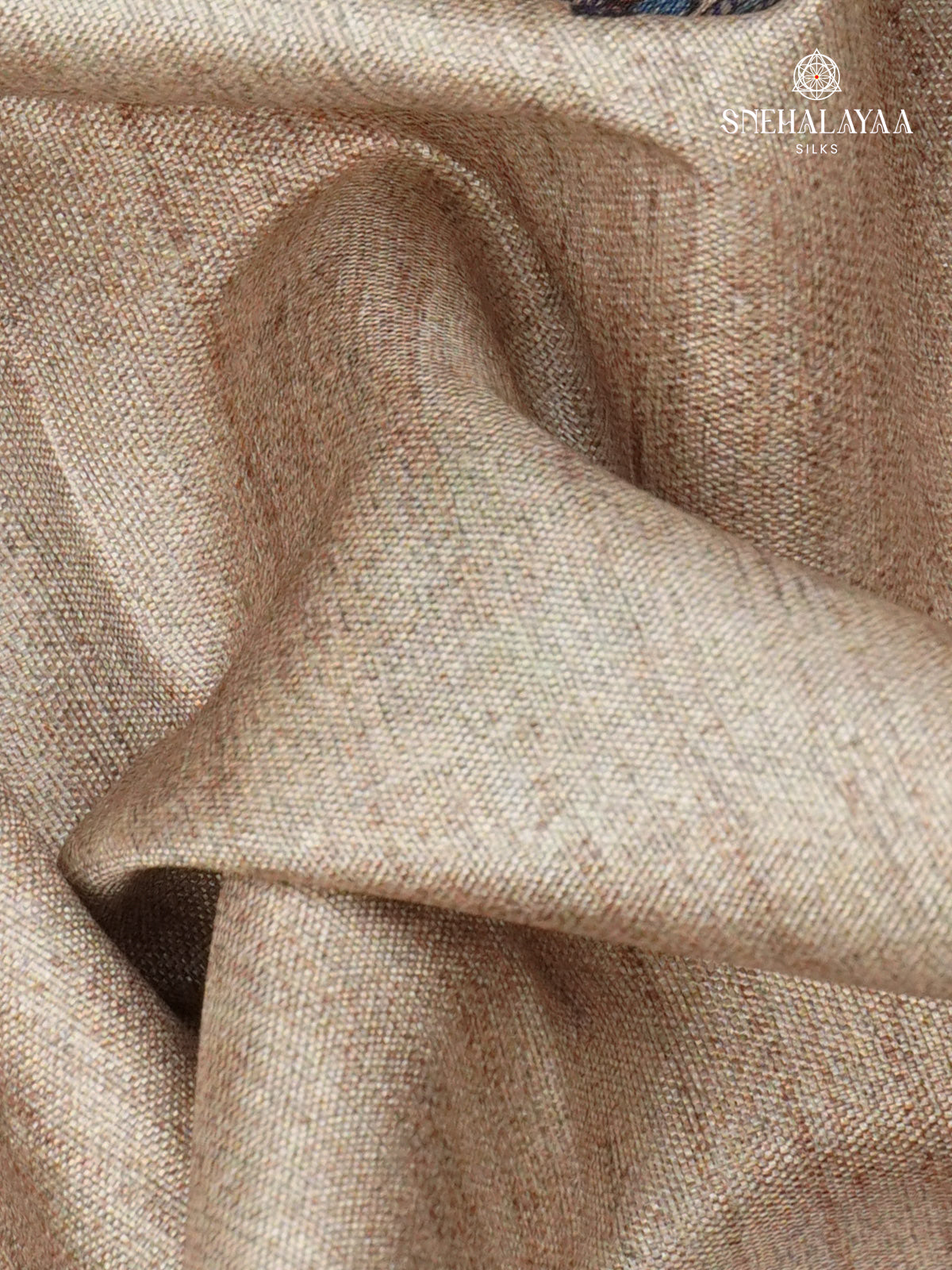 Beige With Black Border Madhubani Saree