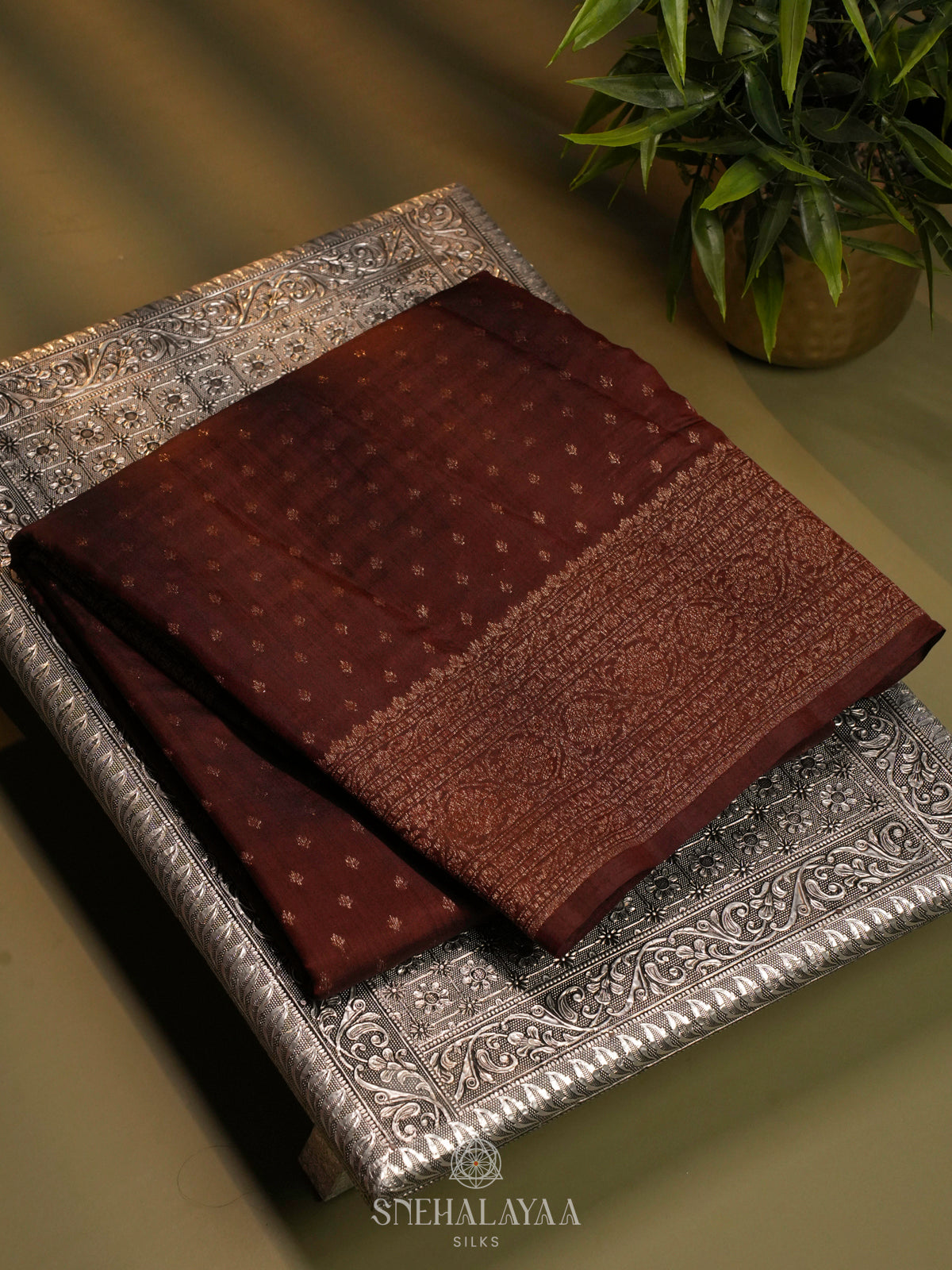 Brown Banaras Raw Silk Saree