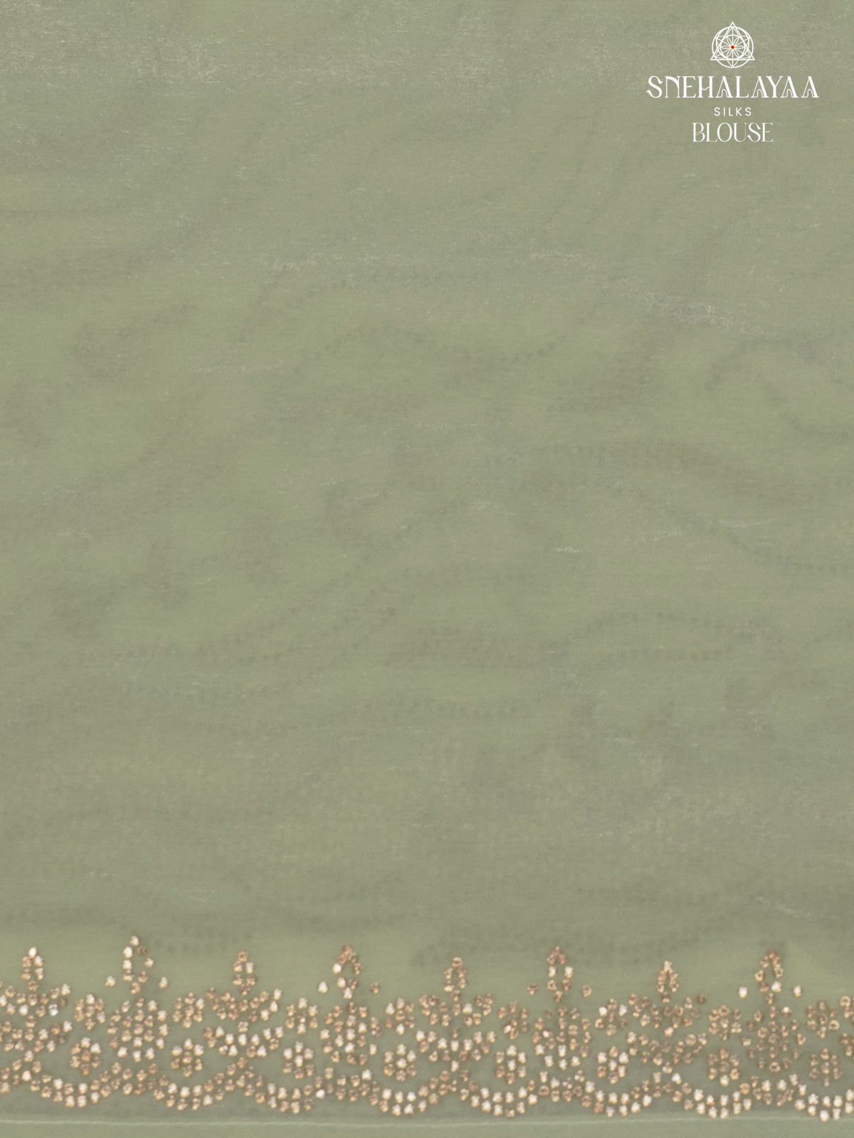 Pastel Green Designer Saree