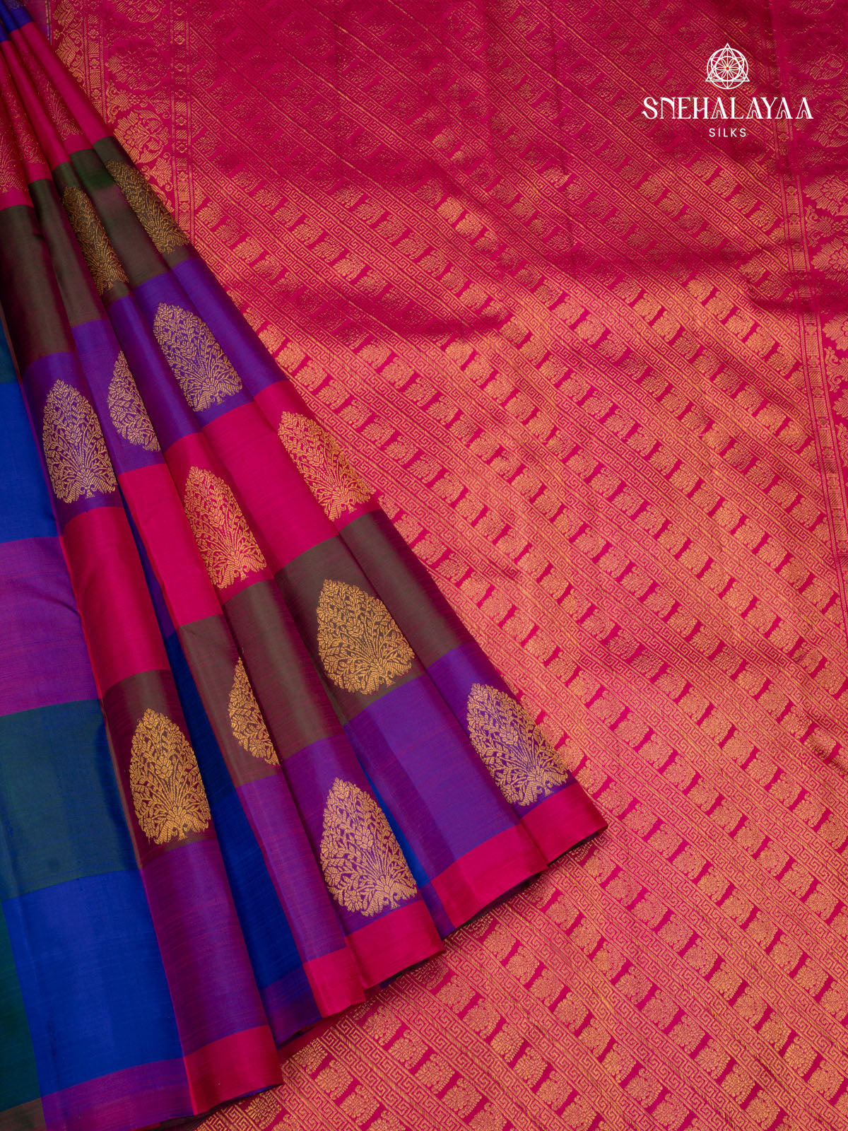 Multi Colour Kanjivaram Silk Saree