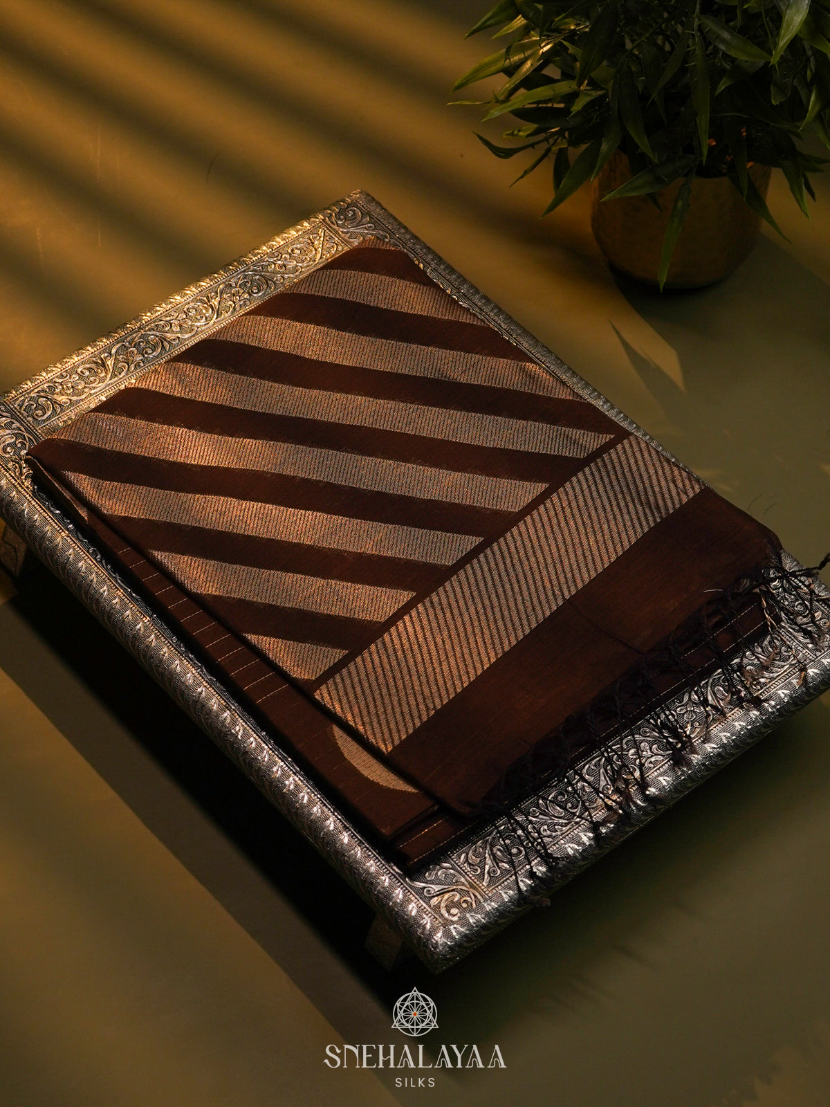 Burgundy Kora Silk Cotton Saree