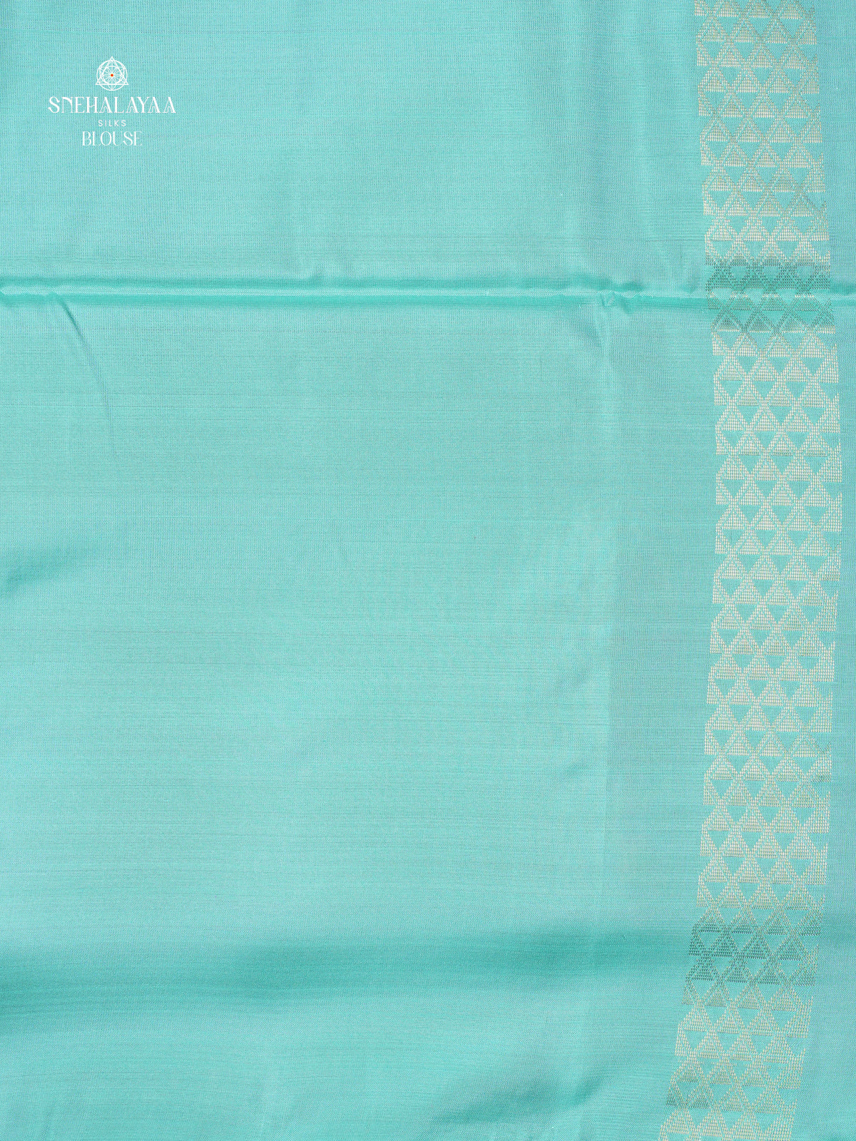 Rani Pink Borderless Kanjivaram Soft Silk Saree