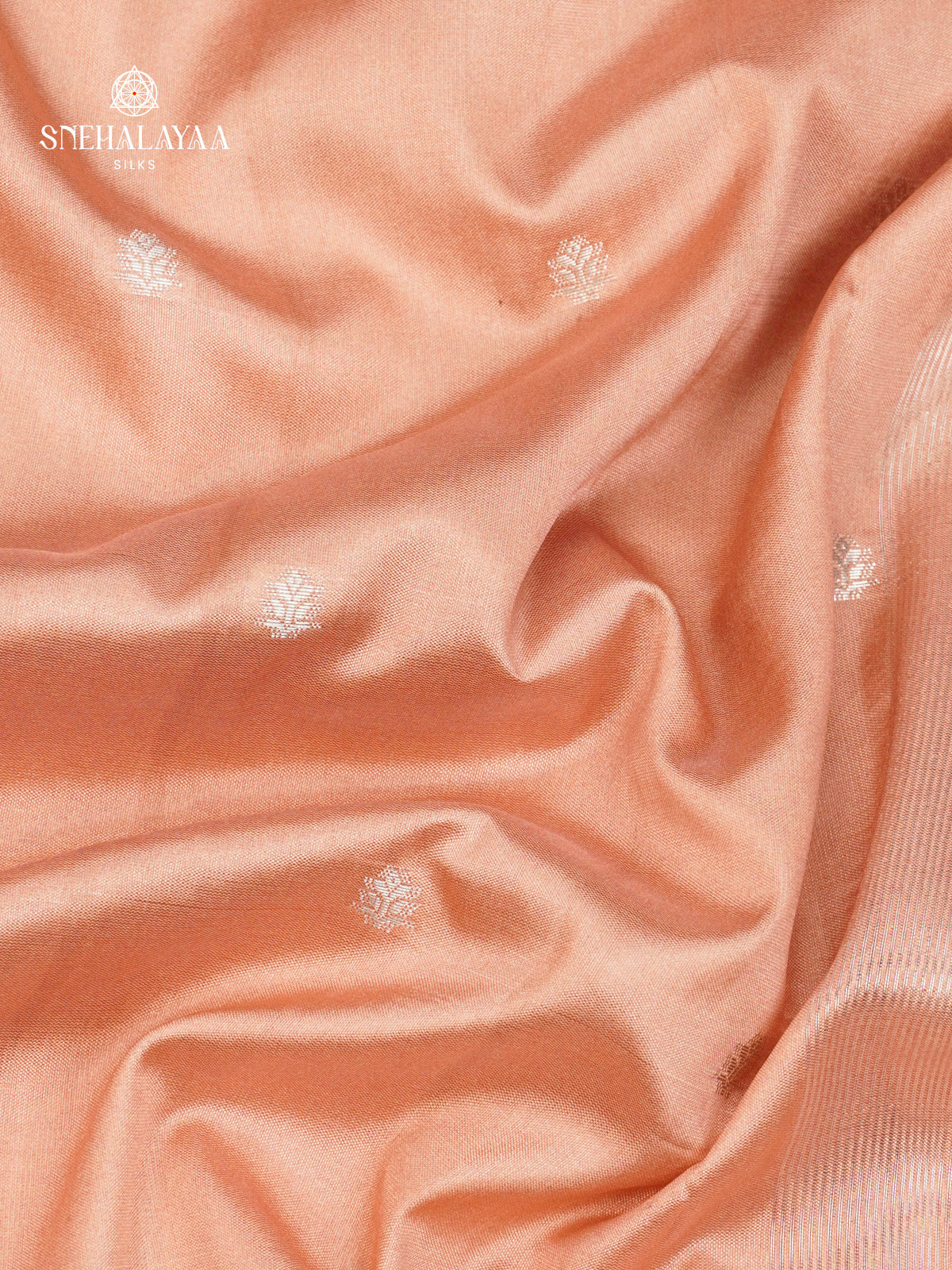 Pale Pink Banaras Dola Silk Saree