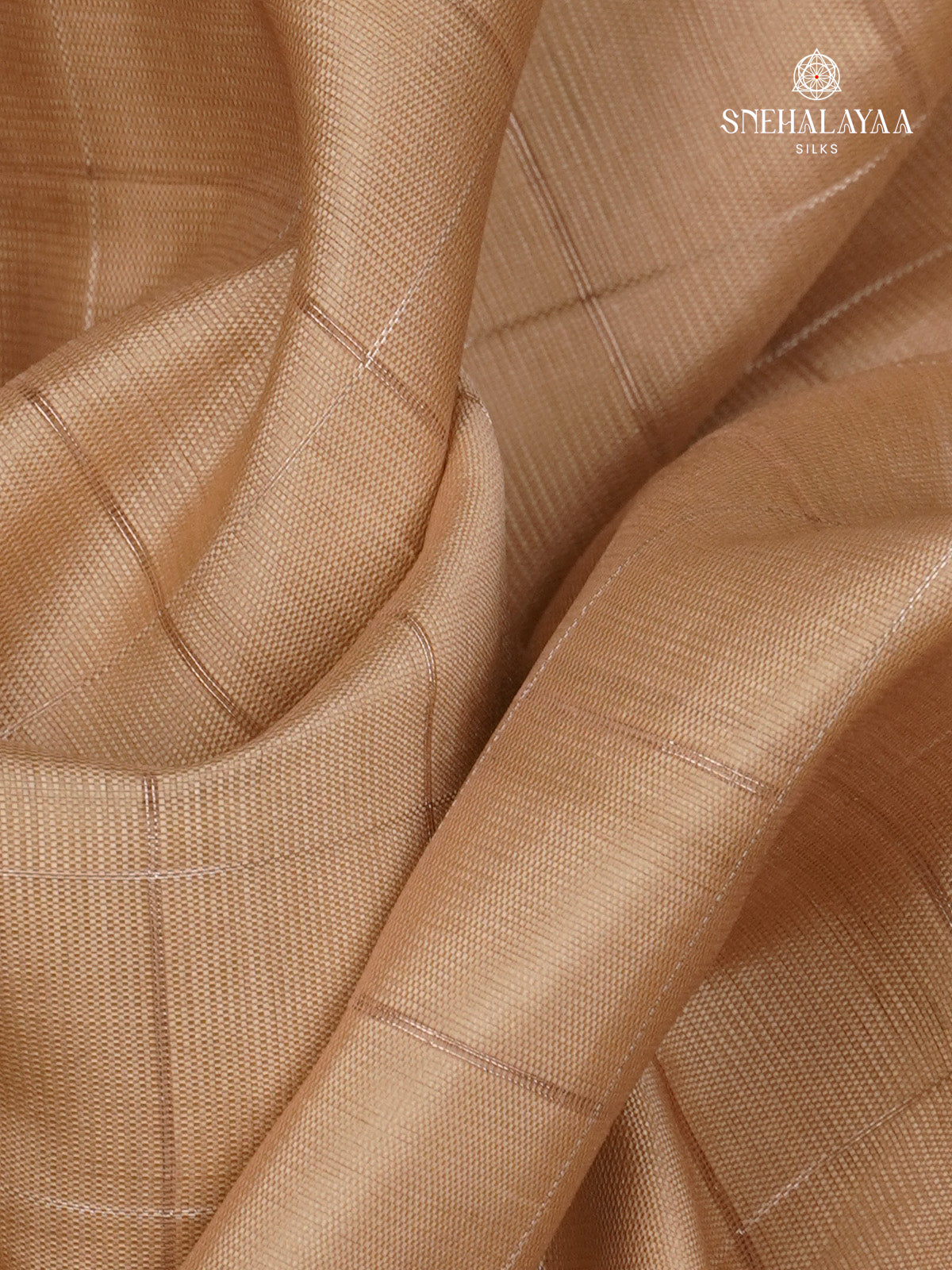 Beige Tussar Saree
