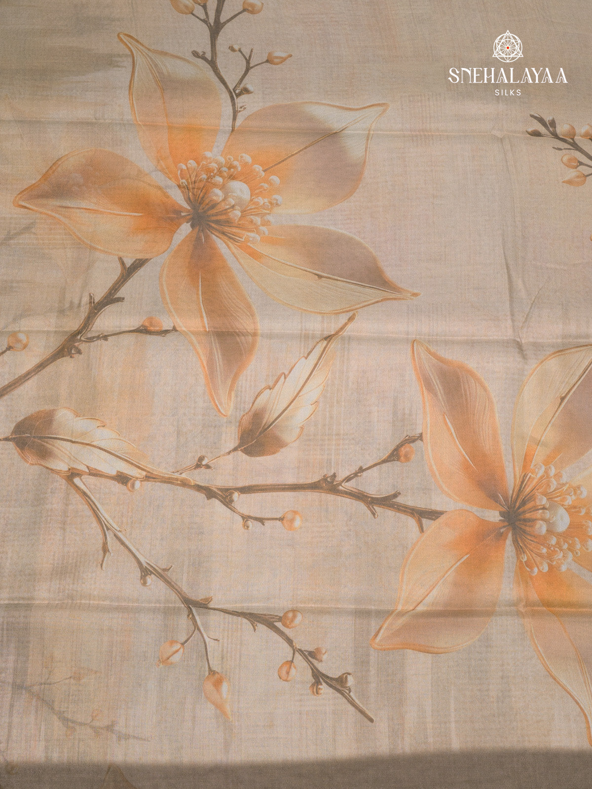 Cream Dola Silk Saree