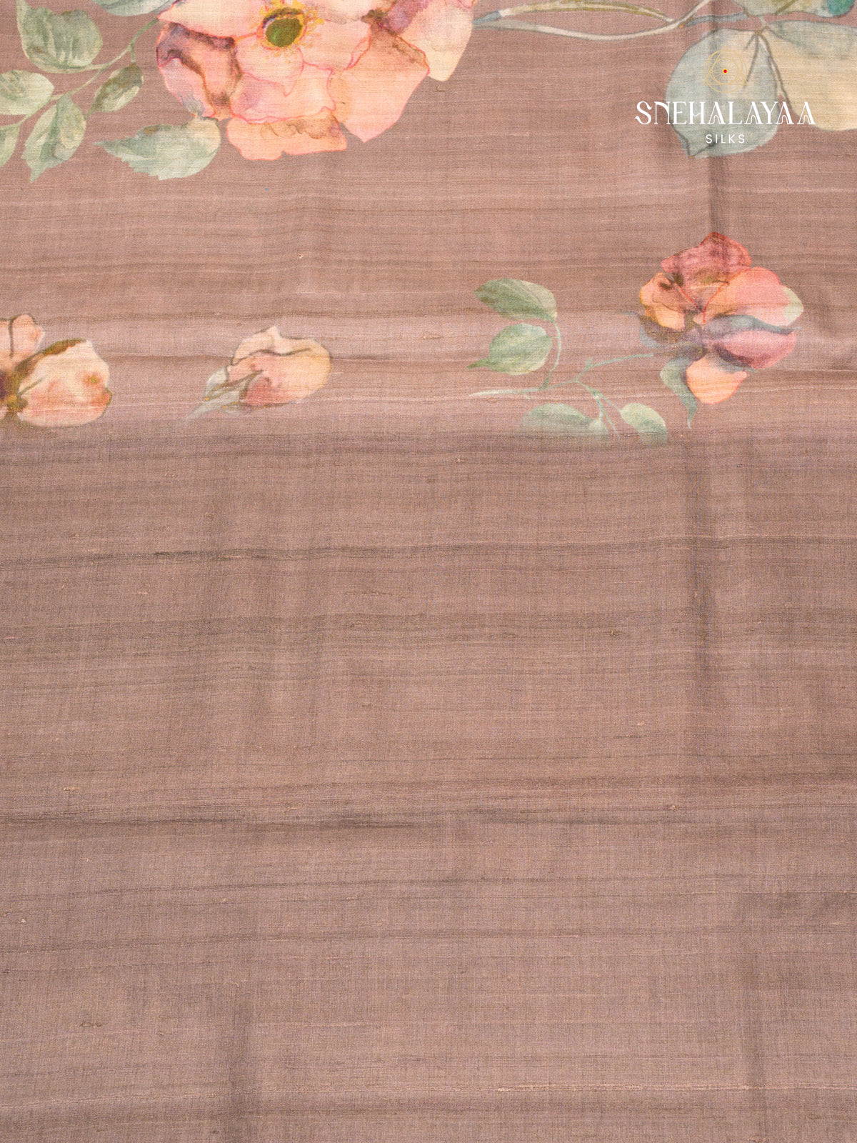 Cocoa Brown Tussar Saree
