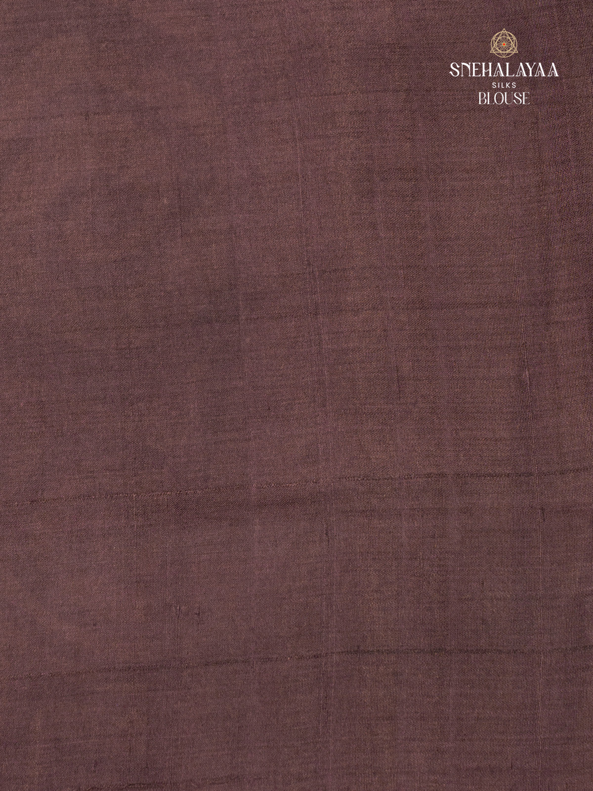 Brown Tussar Saree