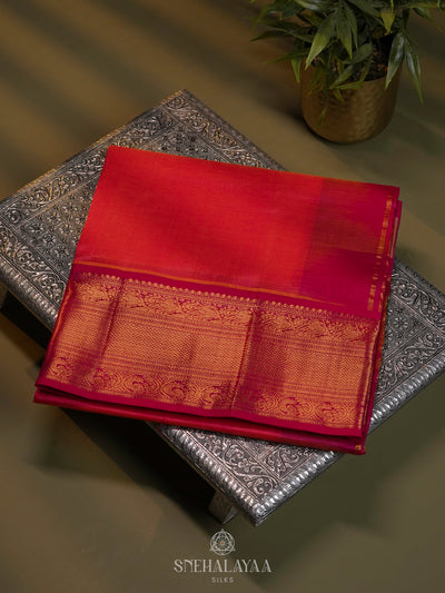 Pink Kanchi Silk Cotton Saree