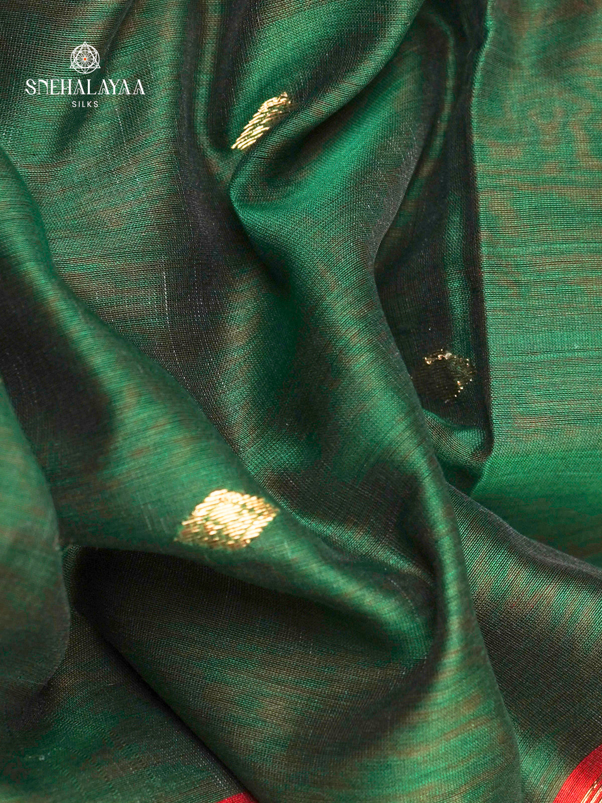 Forest Green Maheshwari Silk Cotton Saree