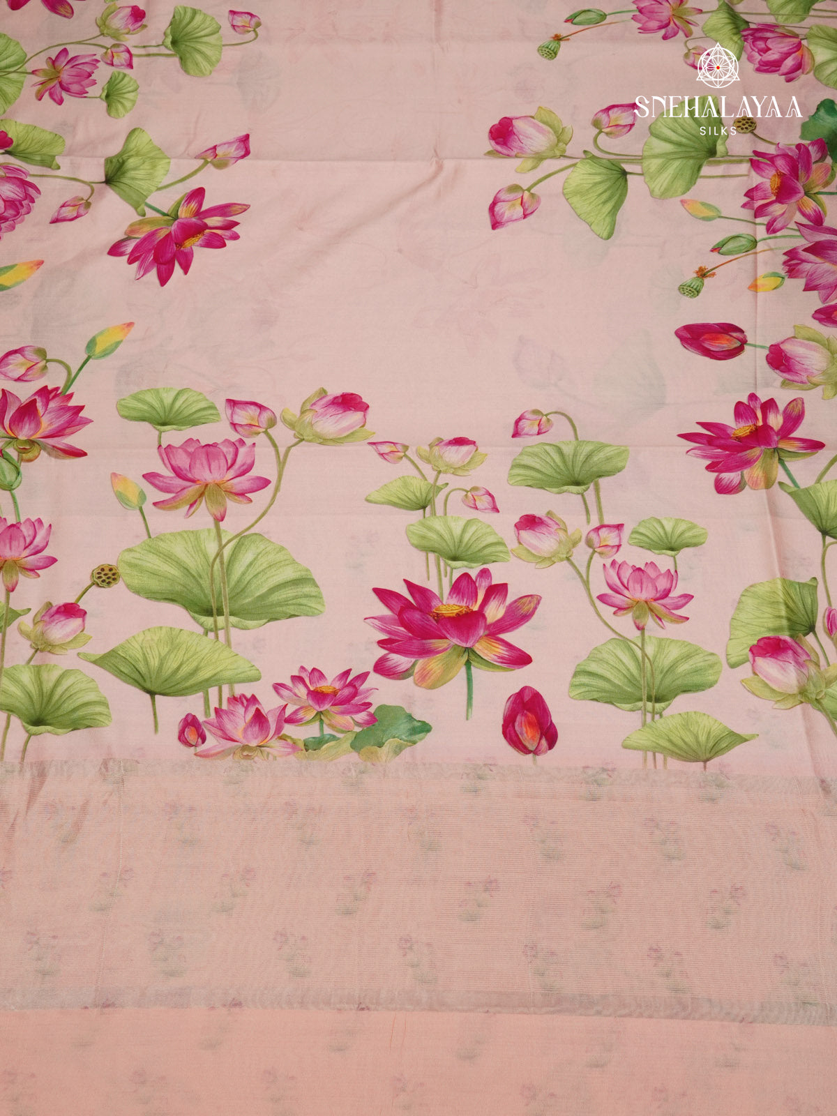 Pastel Pink Chiniya Silk Saree