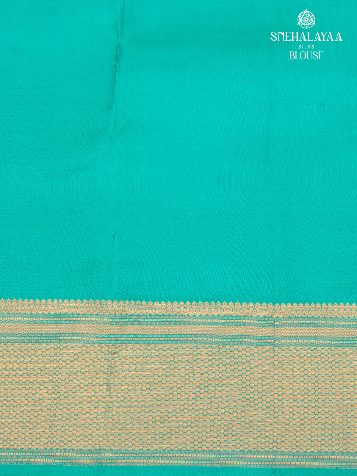 Mint Aqua Kanjivaram Silk Saree