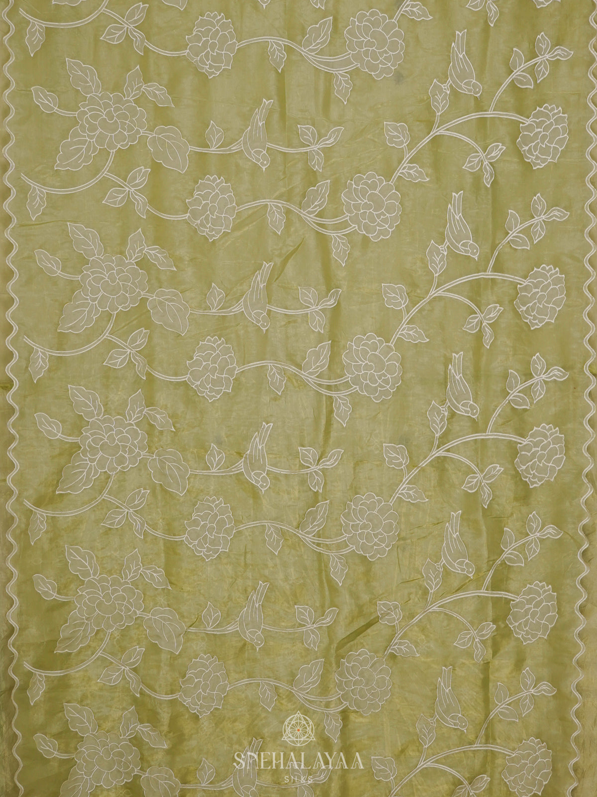 Olive Green Crush Tissue Embroidery Saree