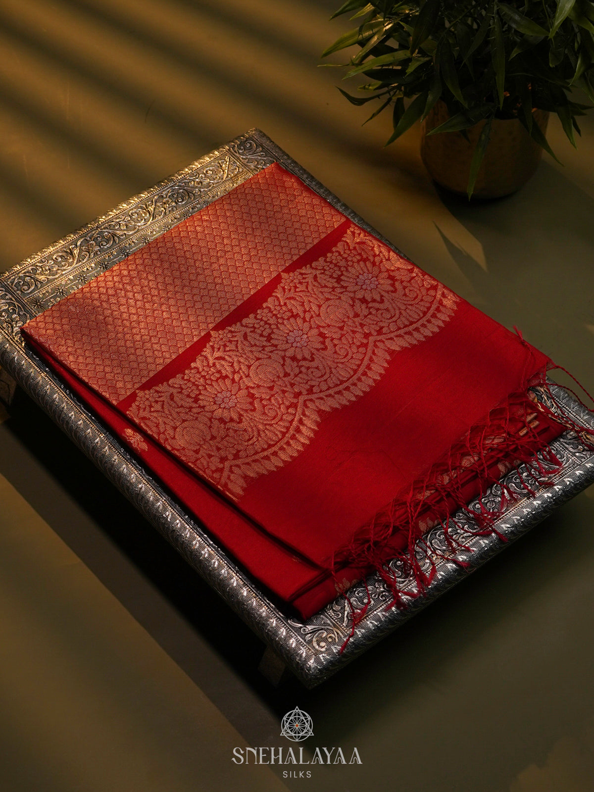 Red Kora Silk Cotton Saree