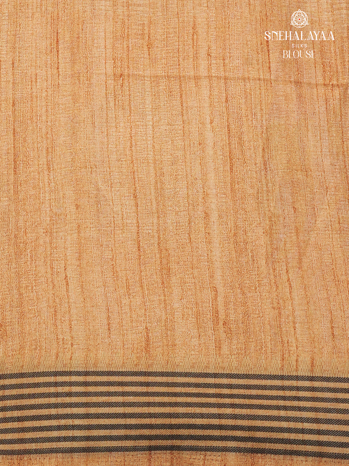 Beige with Grey Border Kalamkari Tussar Saree