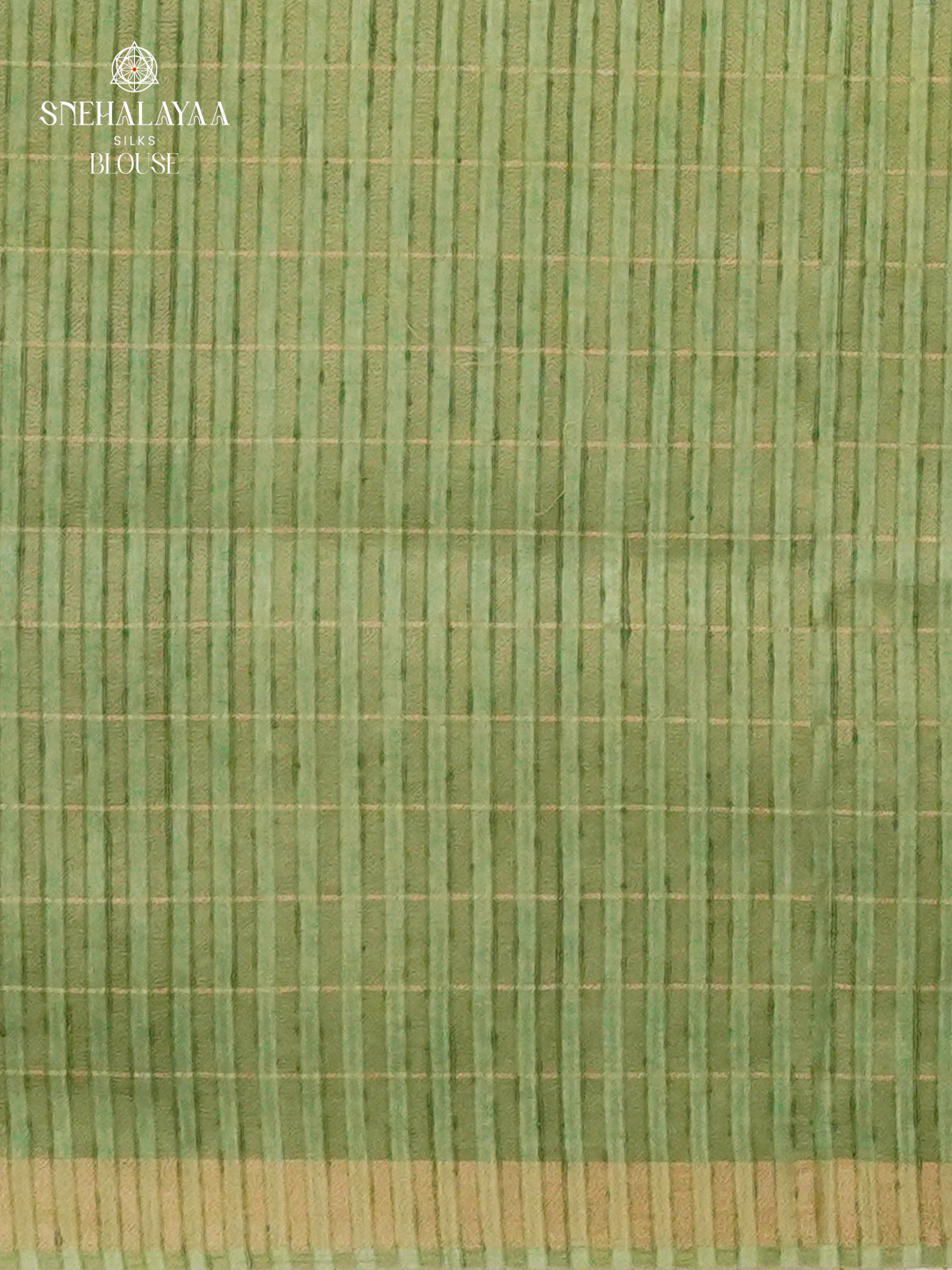 Pastel Green Munga Tussar Embroidery Saree