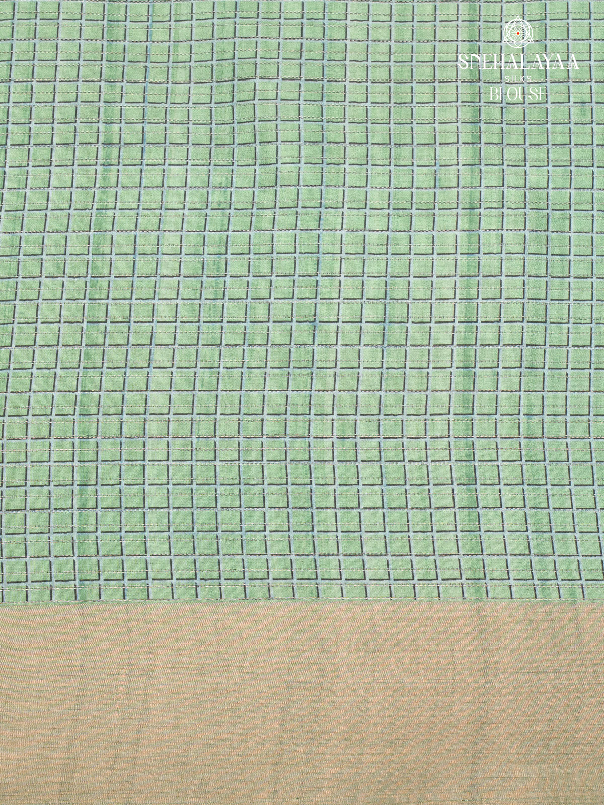 Pale Green Tussar Saree