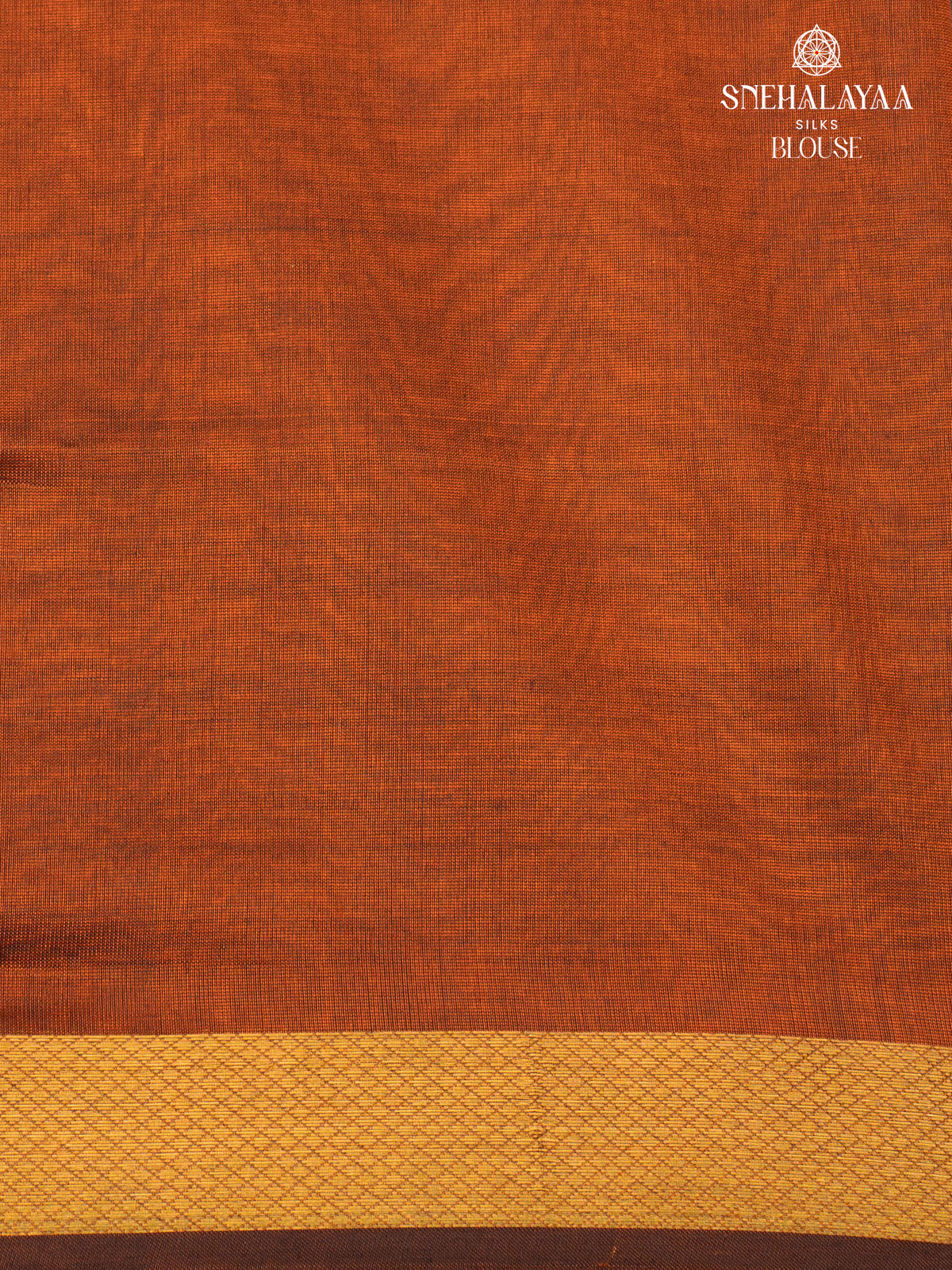 Paalum Pazhamum Kanchi Silk Cotton Saree