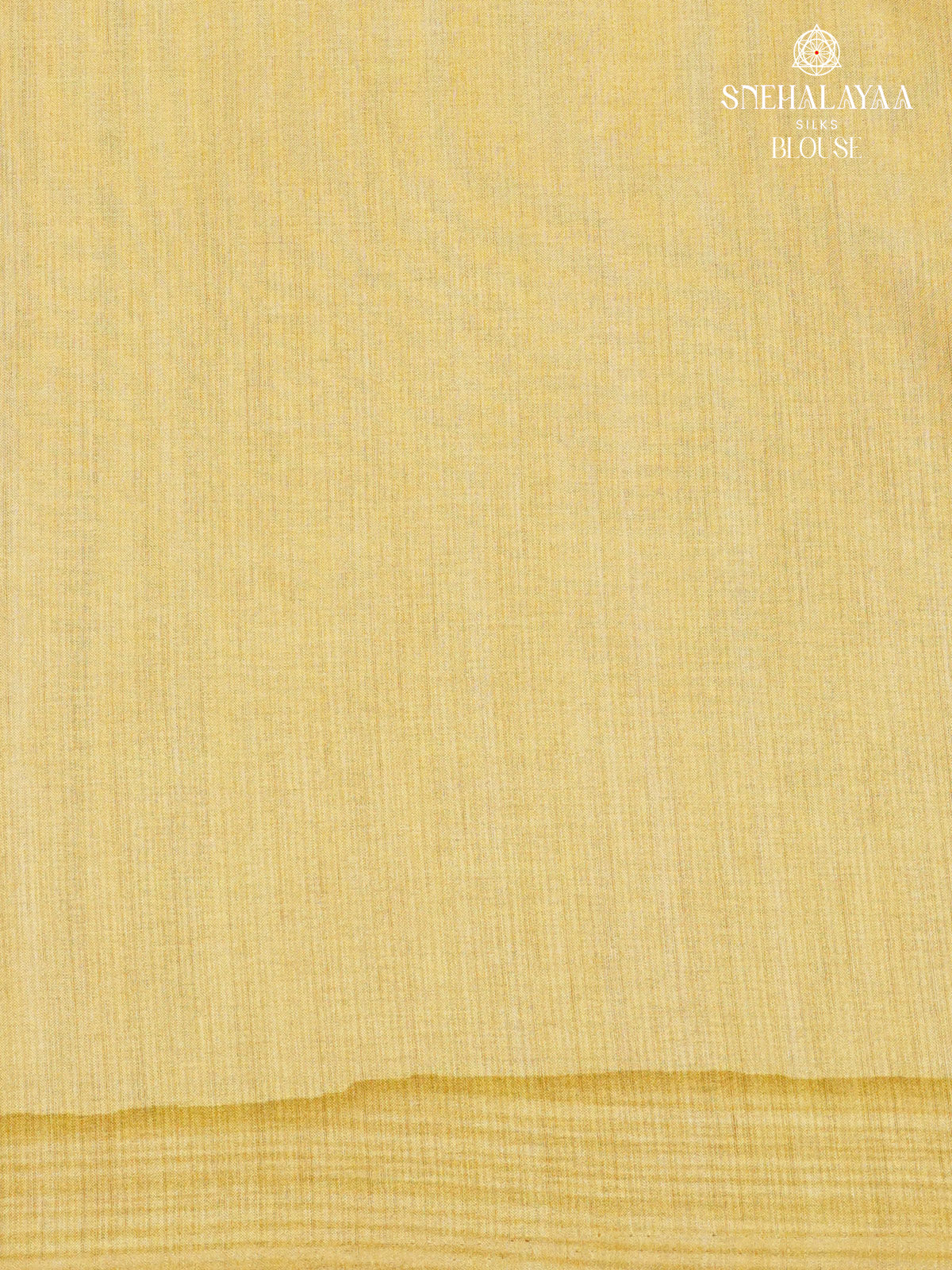 Beige Tussar Saree