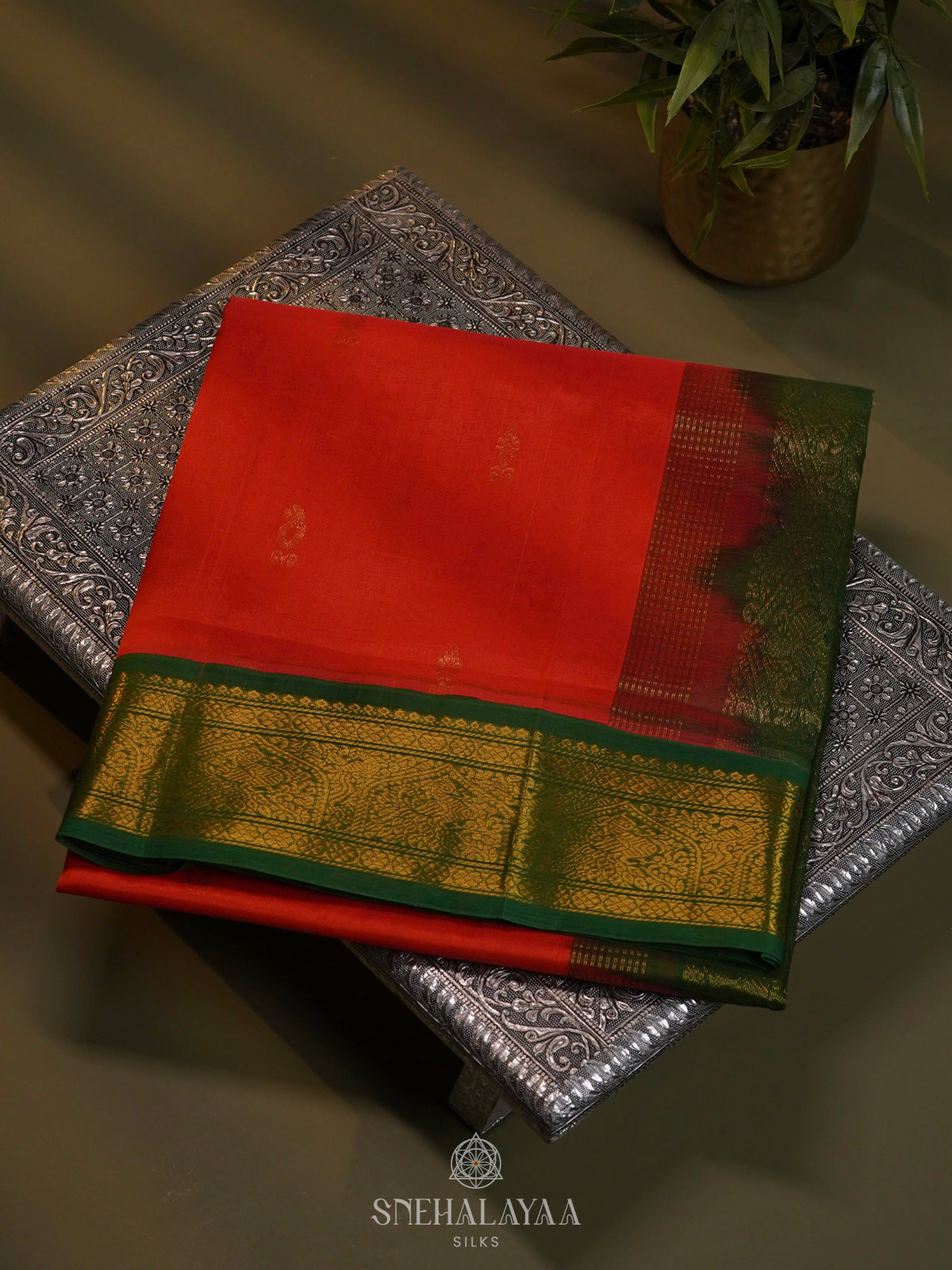 Red Kanchi Silk Cotton Saree