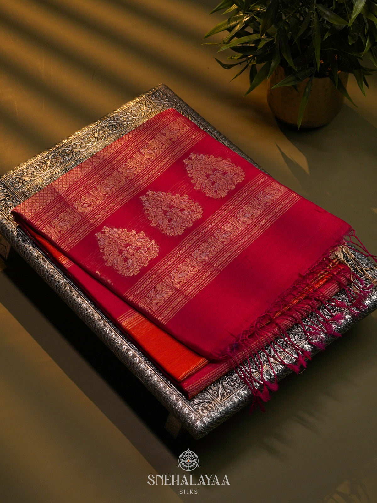Pink Kora Silk Cotton Saree