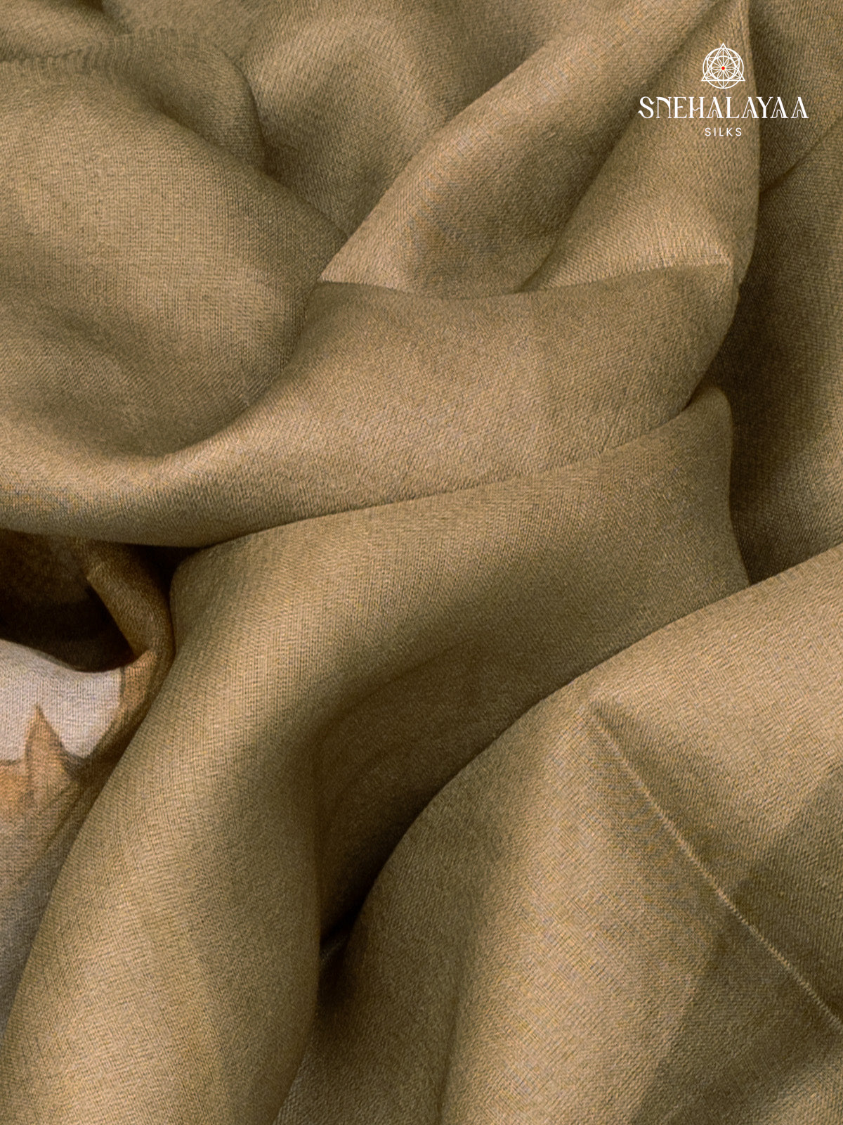 Pale Green Dola Silk Saree