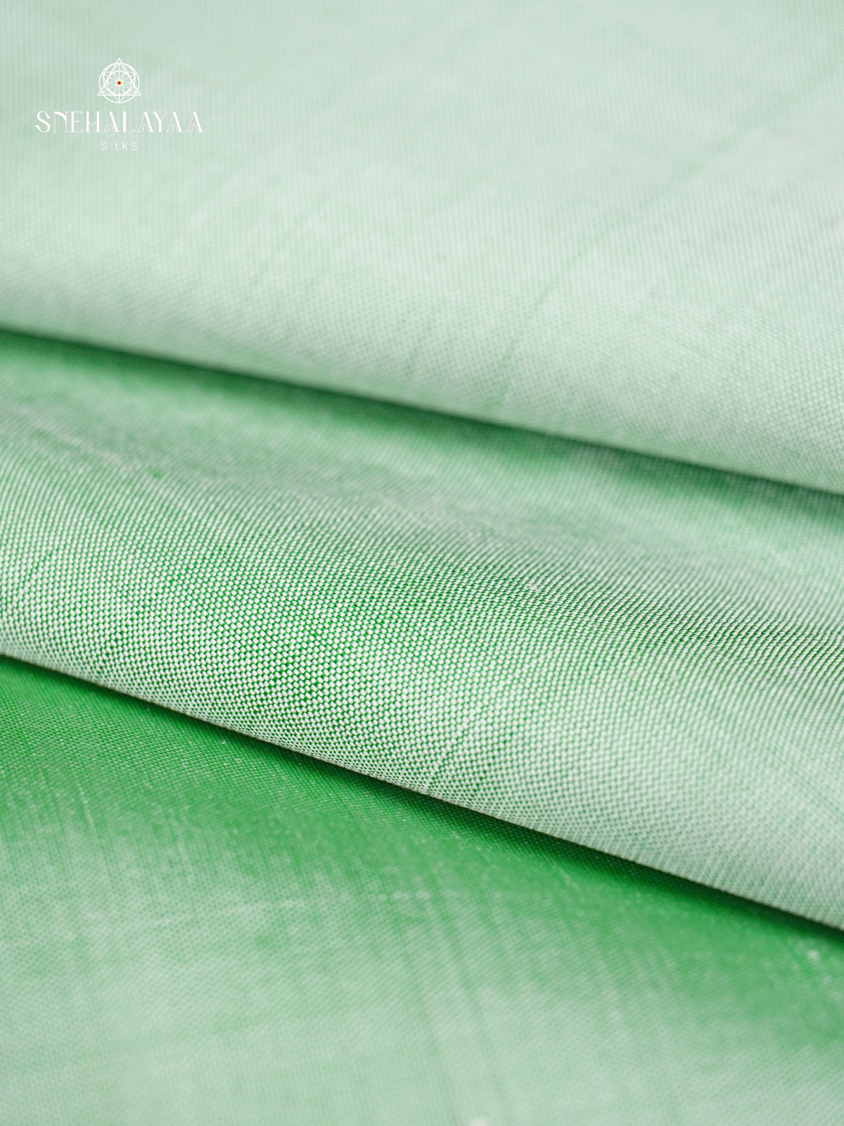 Pale Green Ikat Saree