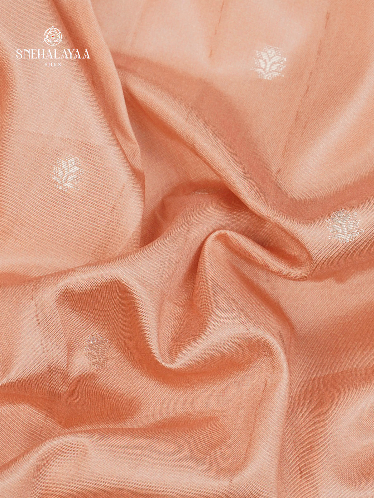 Pale Pink Banaras Dola Silk Saree