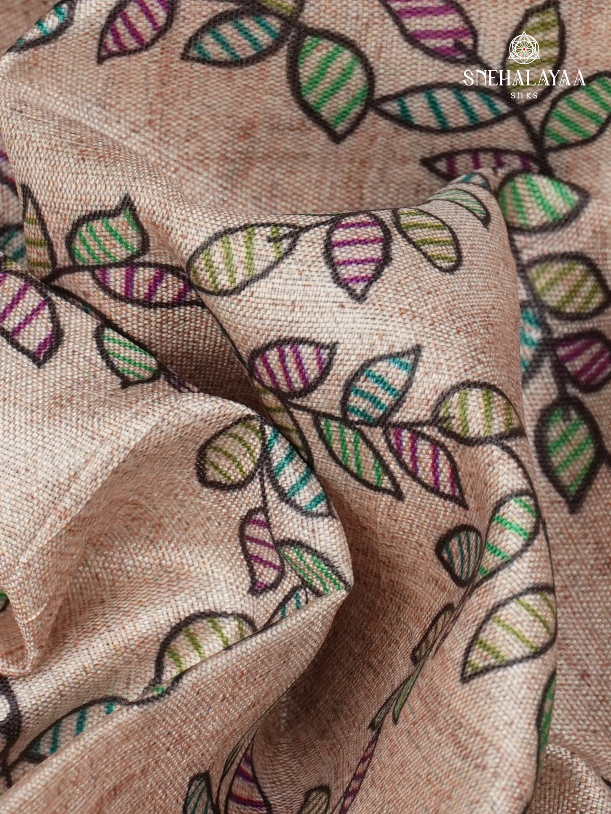 Beige With Black Border Madhubani Saree