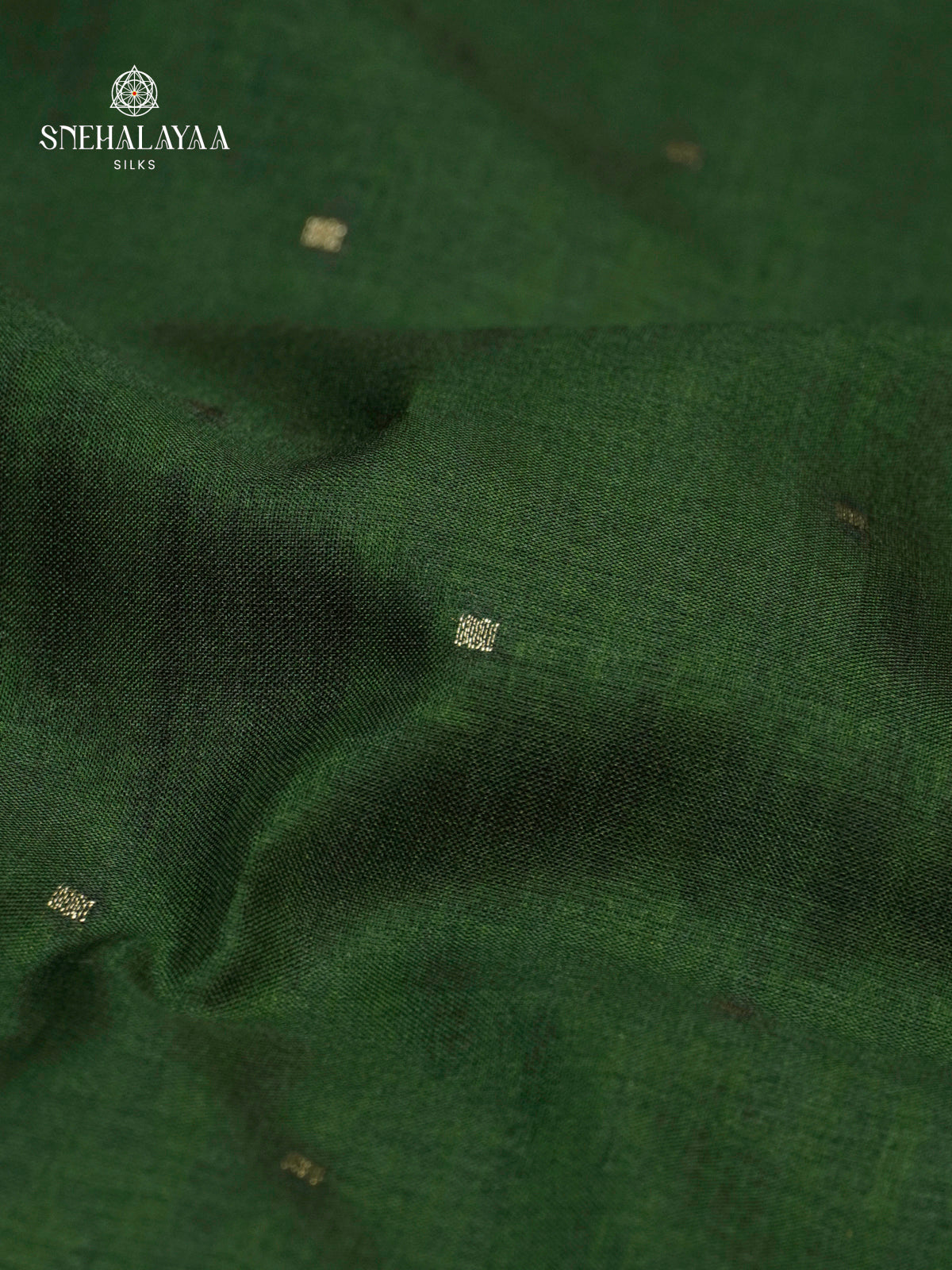 Green Munga Tussar Embroidery Saree