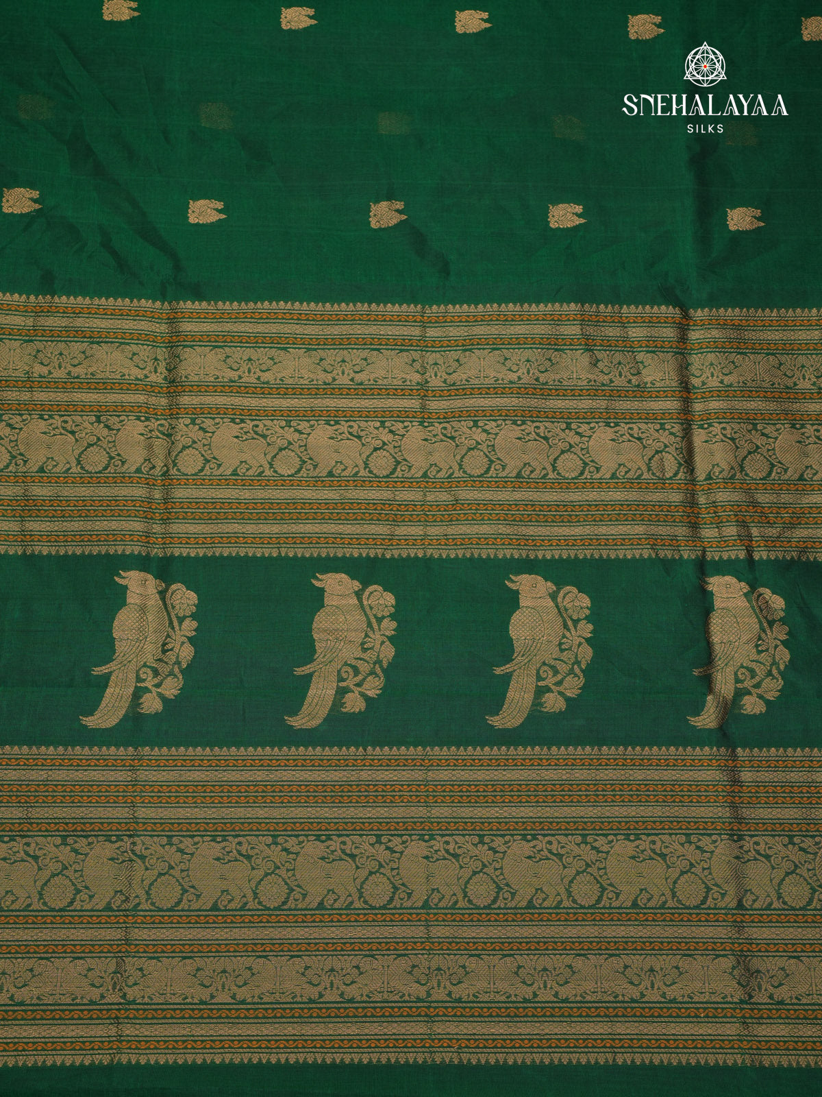 Forest Green Kanchi Silk Cotton Saree