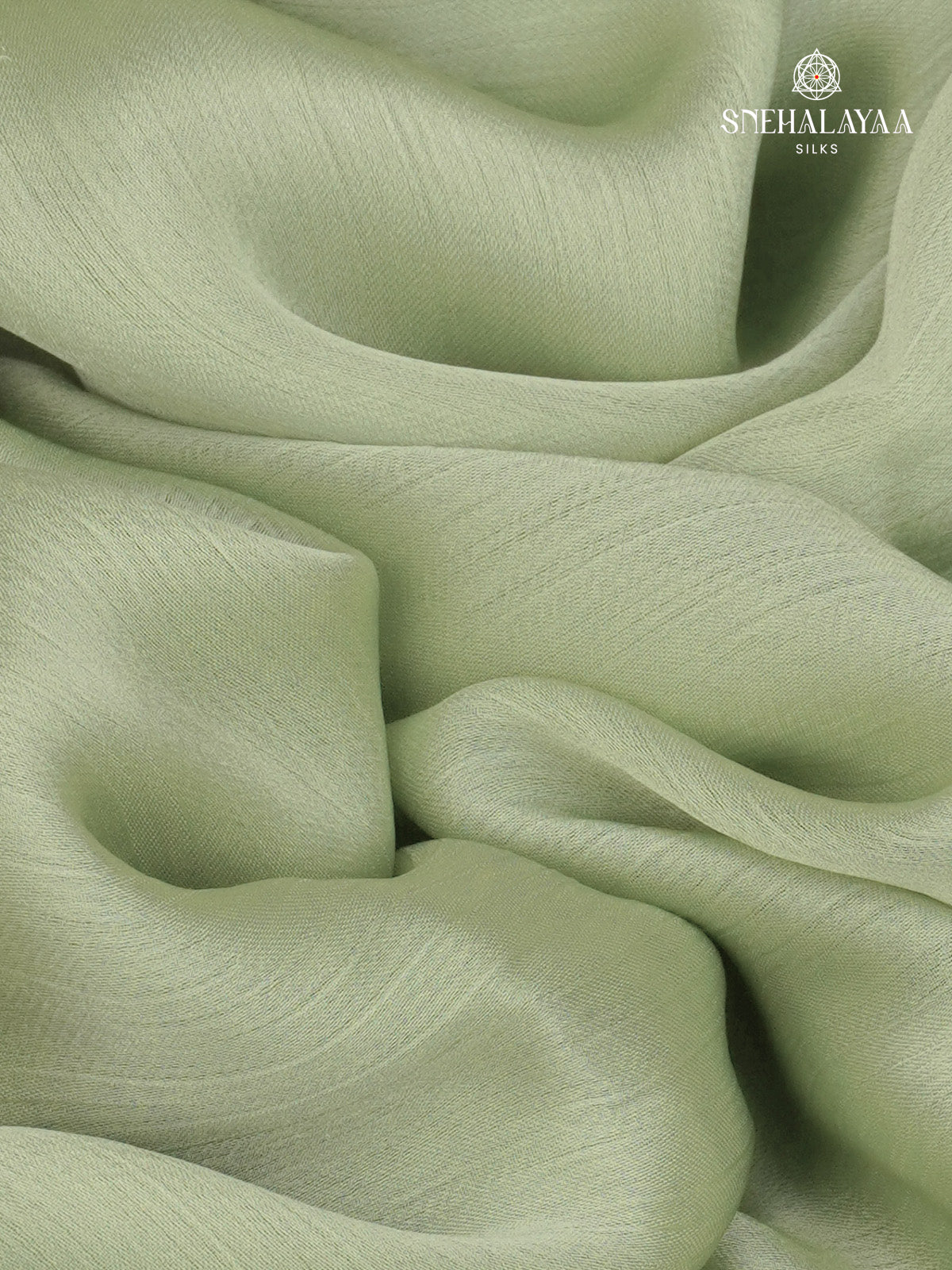 Pale Green Designer Saree