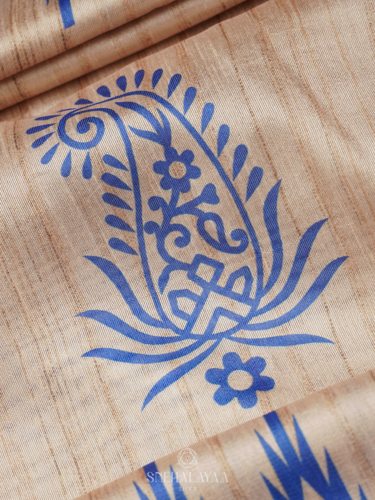 Beige with Blue Border Tussar Saree