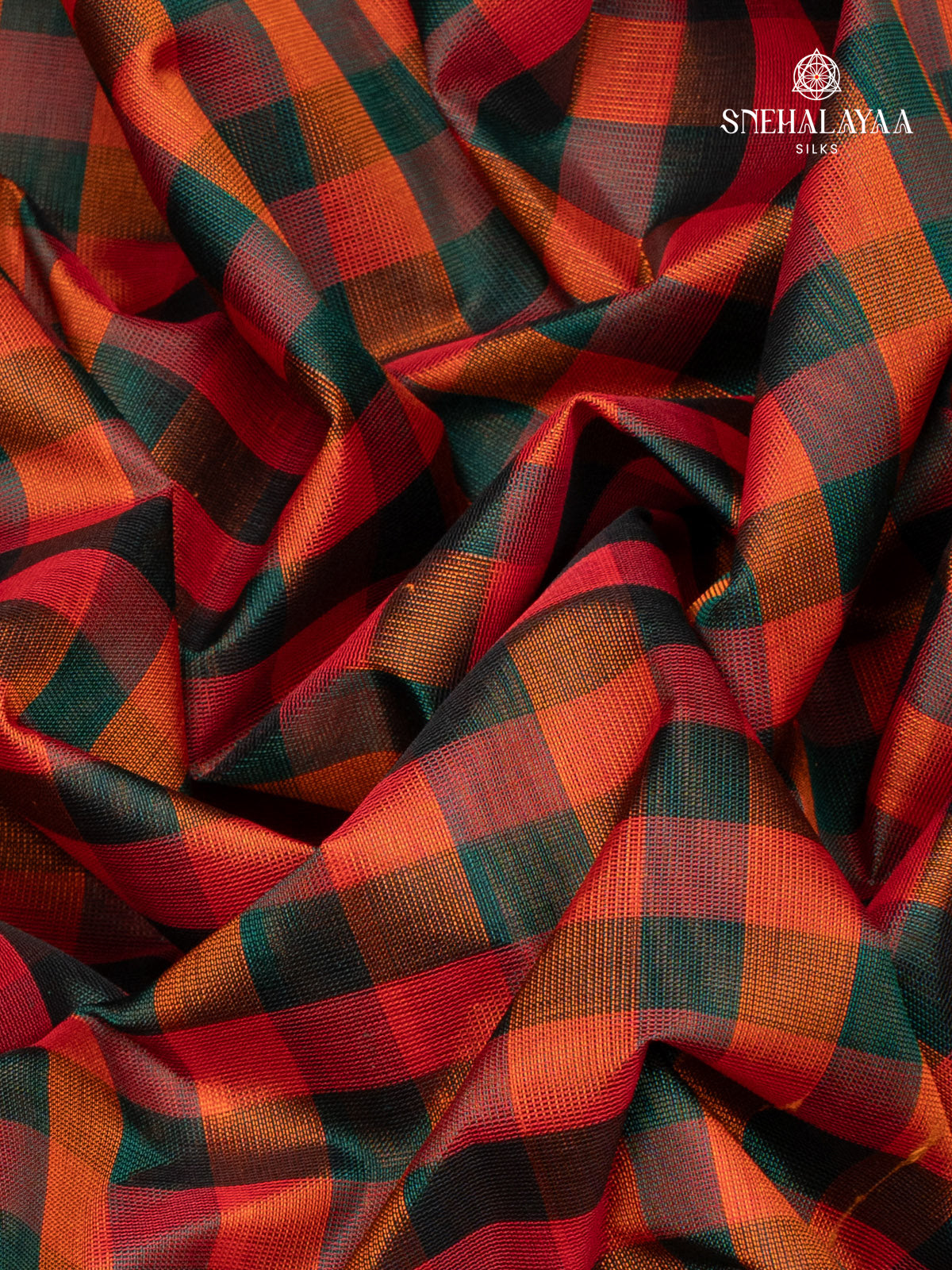 Paalum Pazhamum Kanchi Silk Cotton Saree