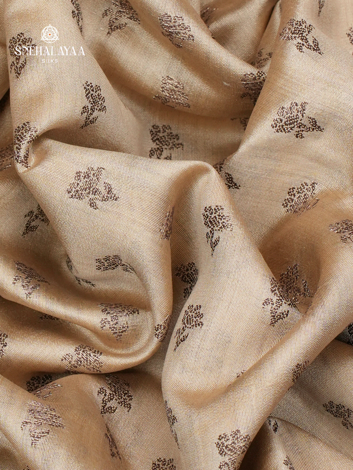 Beige Banaras Chiniya Silk Saree