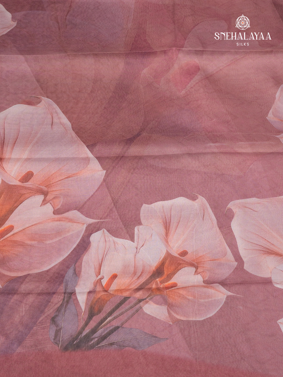 Plum Dola Silk Saree