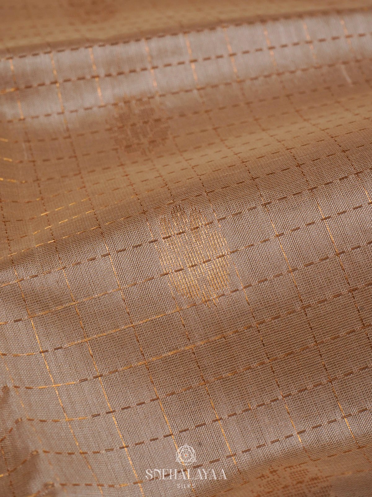 Beige Kanchi Silk Cotton Saree