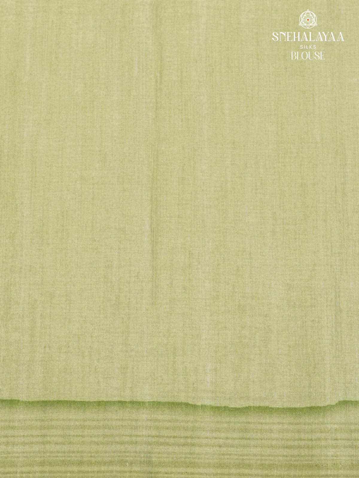 Pastel Green Tussar Saree