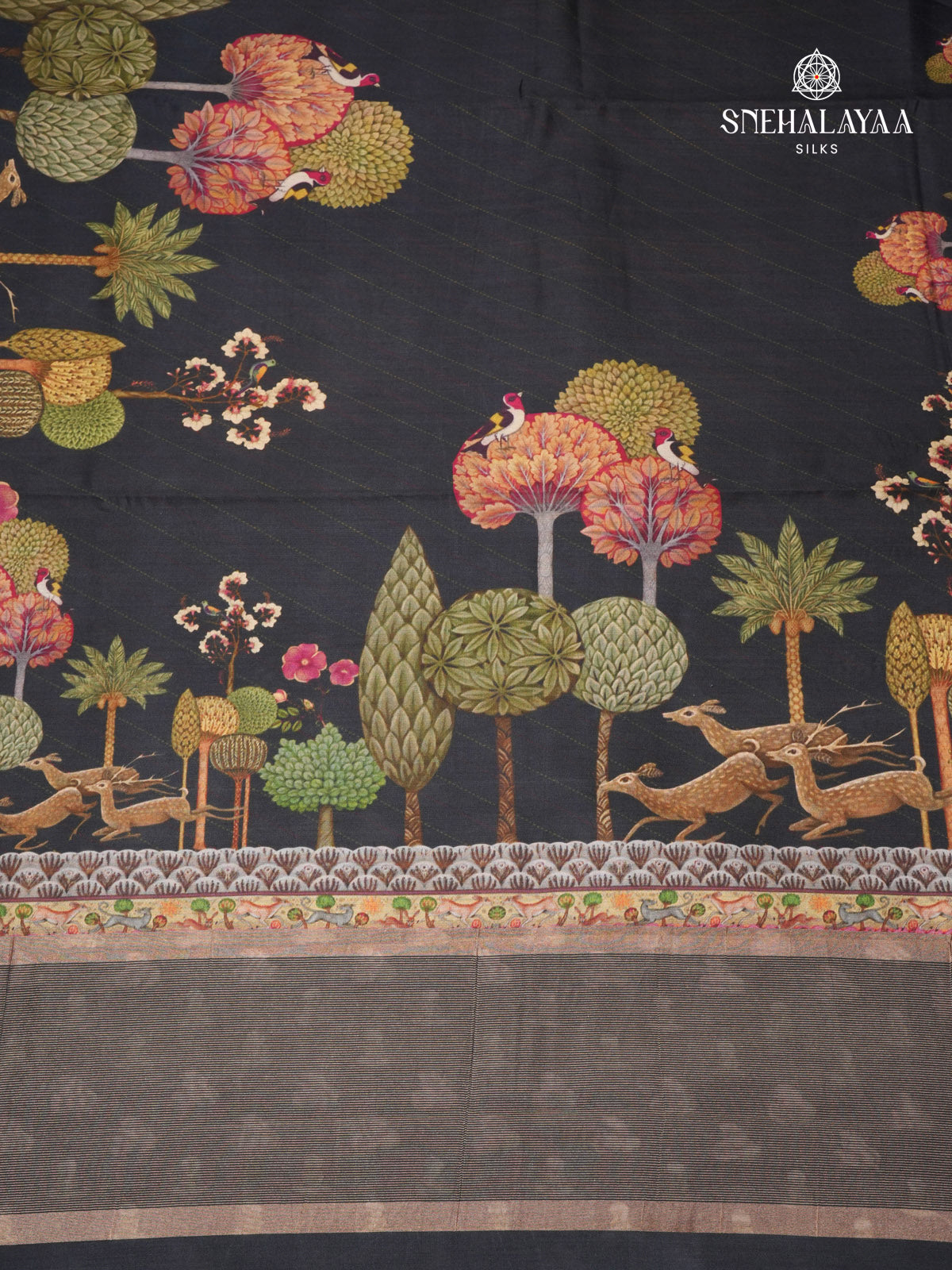 Black Chiniya Silk Saree