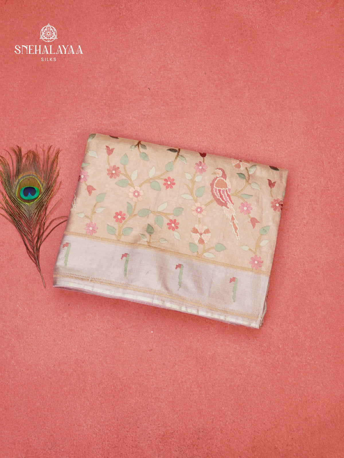 Cream Tissue Embroidery Saree