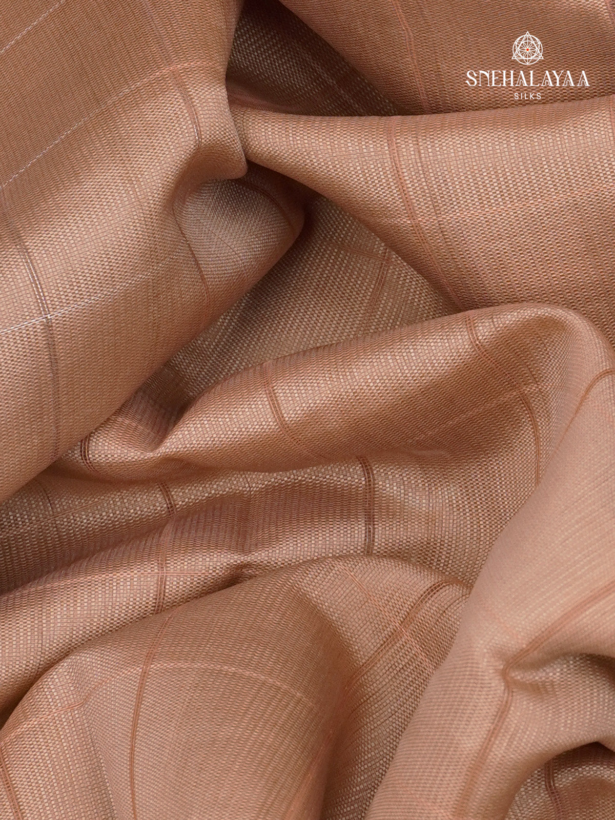 Beige Tussar Saree