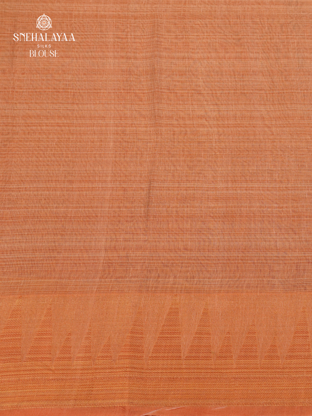 Sage Green Linen Tissue Saree