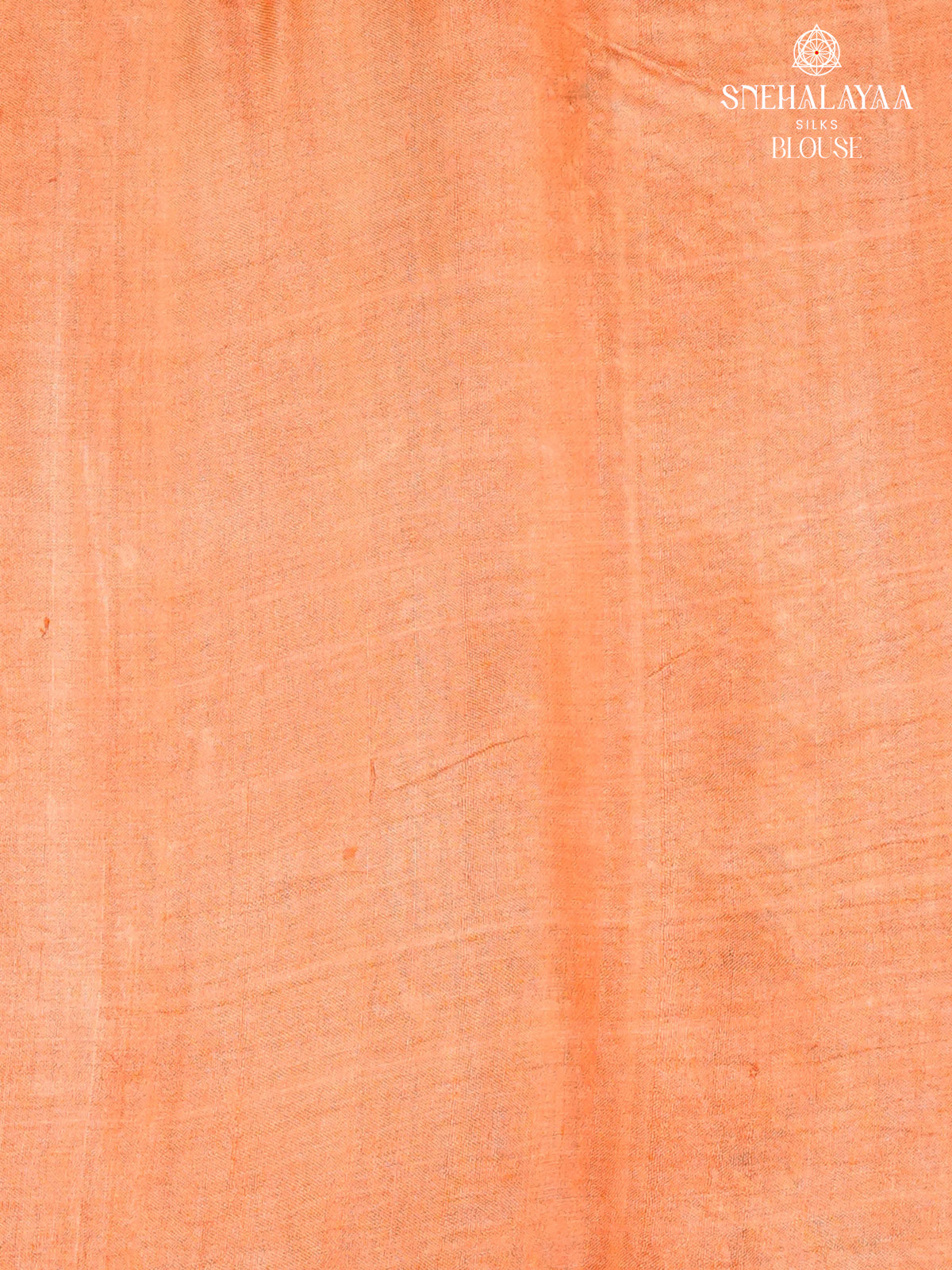 Grey Tussar Silk Saree