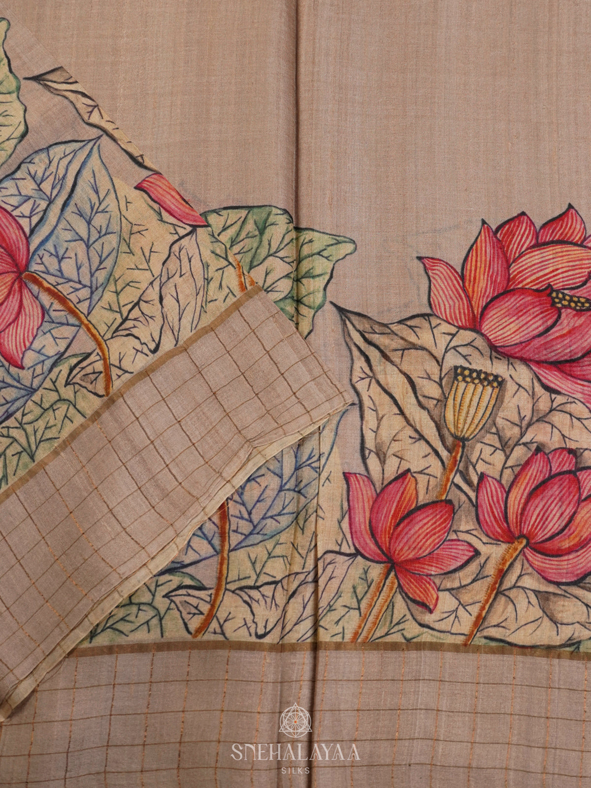 Brown Tussar Saree