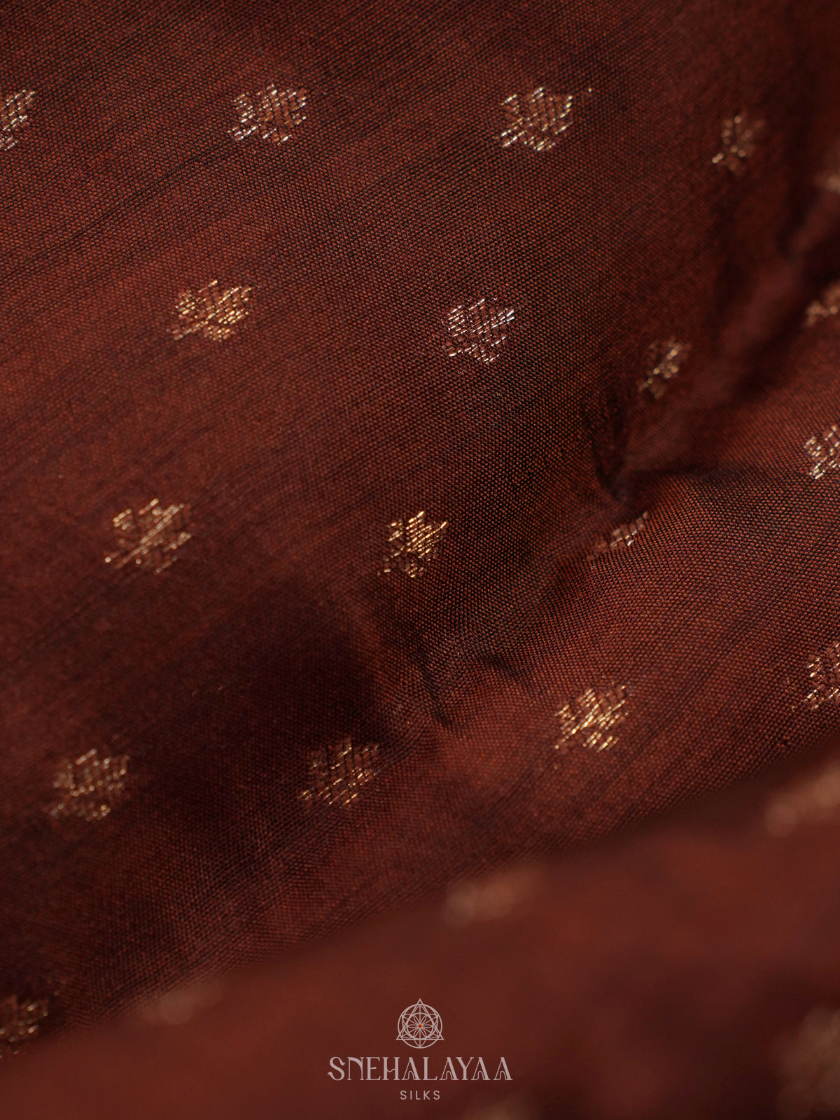 Brown Banaras Raw Silk Saree