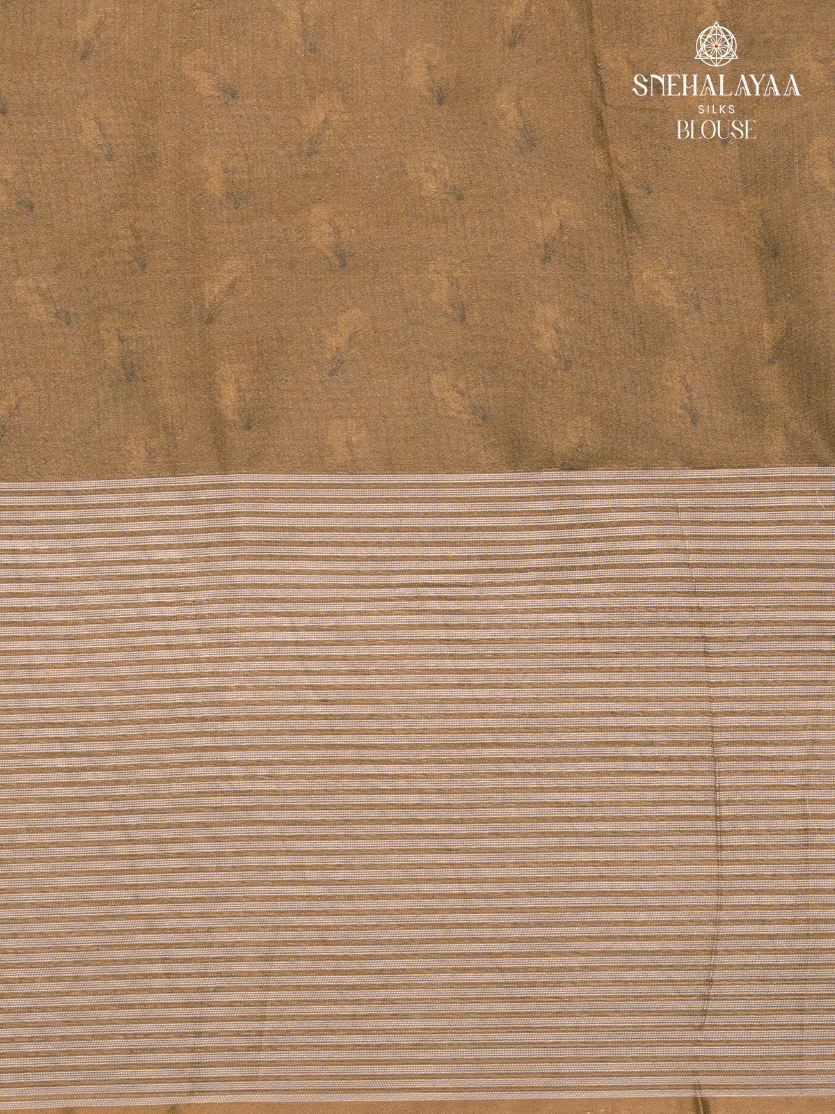 Pale Green Dola Silk Saree