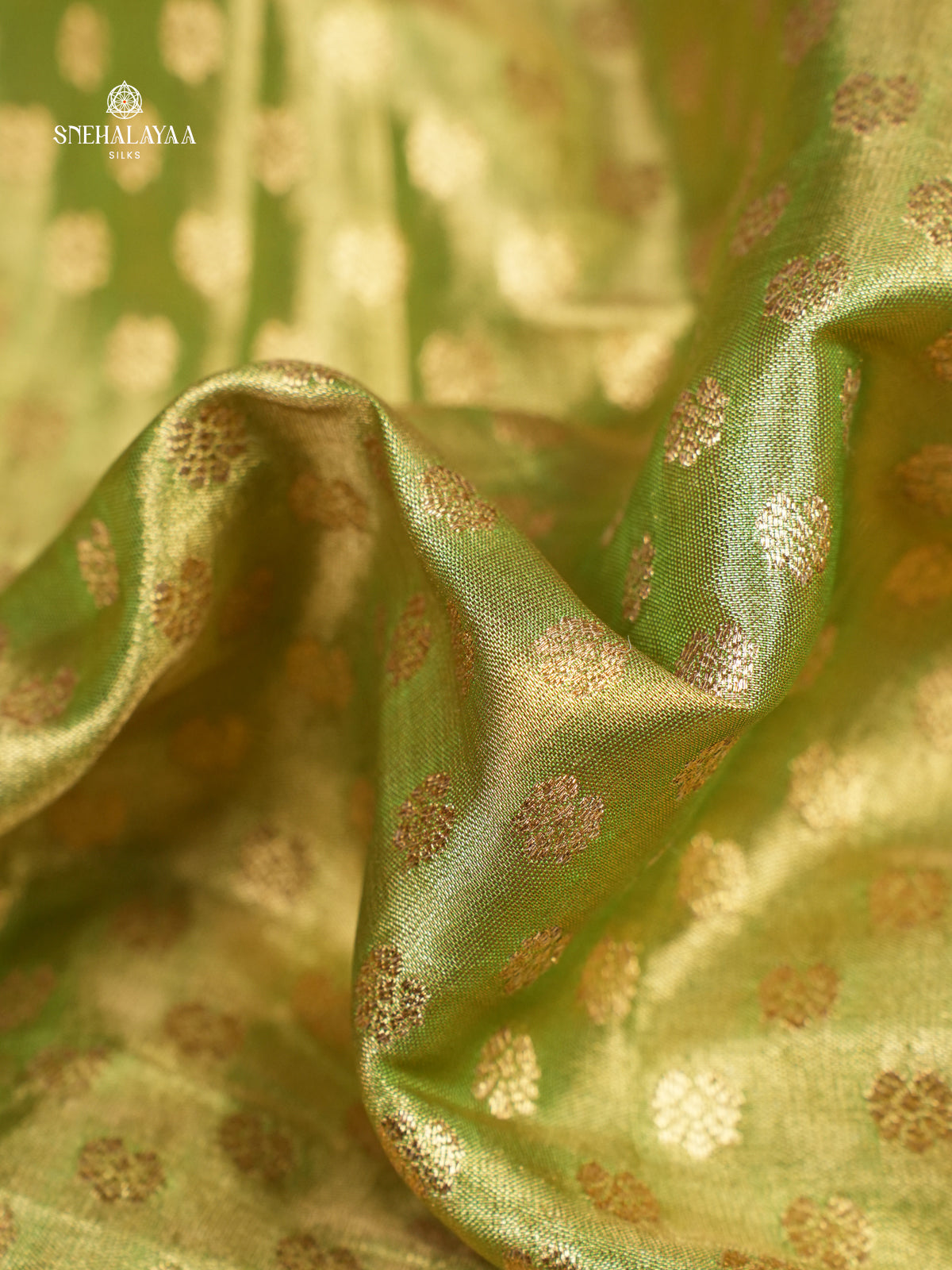 Lime Green Designer Saree