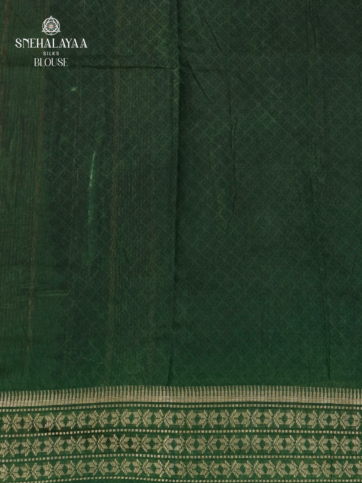 Light Pistachio Kalamkari Saree with Dark Green Woven Border