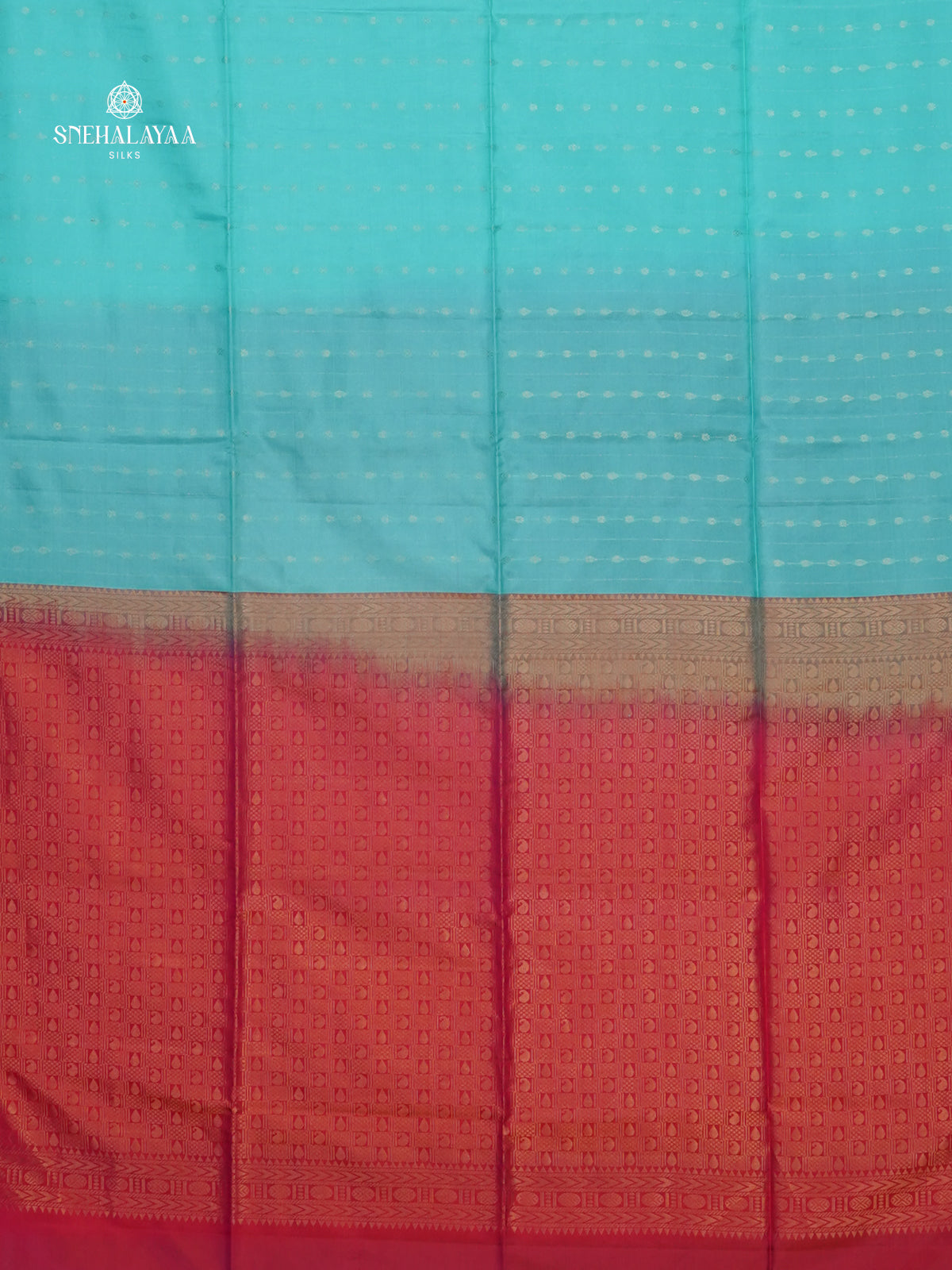 Sky Blue Borderless Kanjivaram Soft Silk Saree